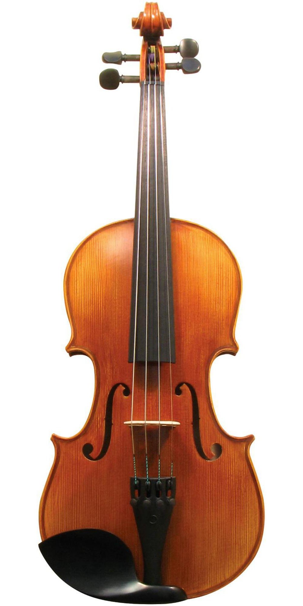 Amazon.com: Maple Leaf Strings MLS 130 Apprentice Collection