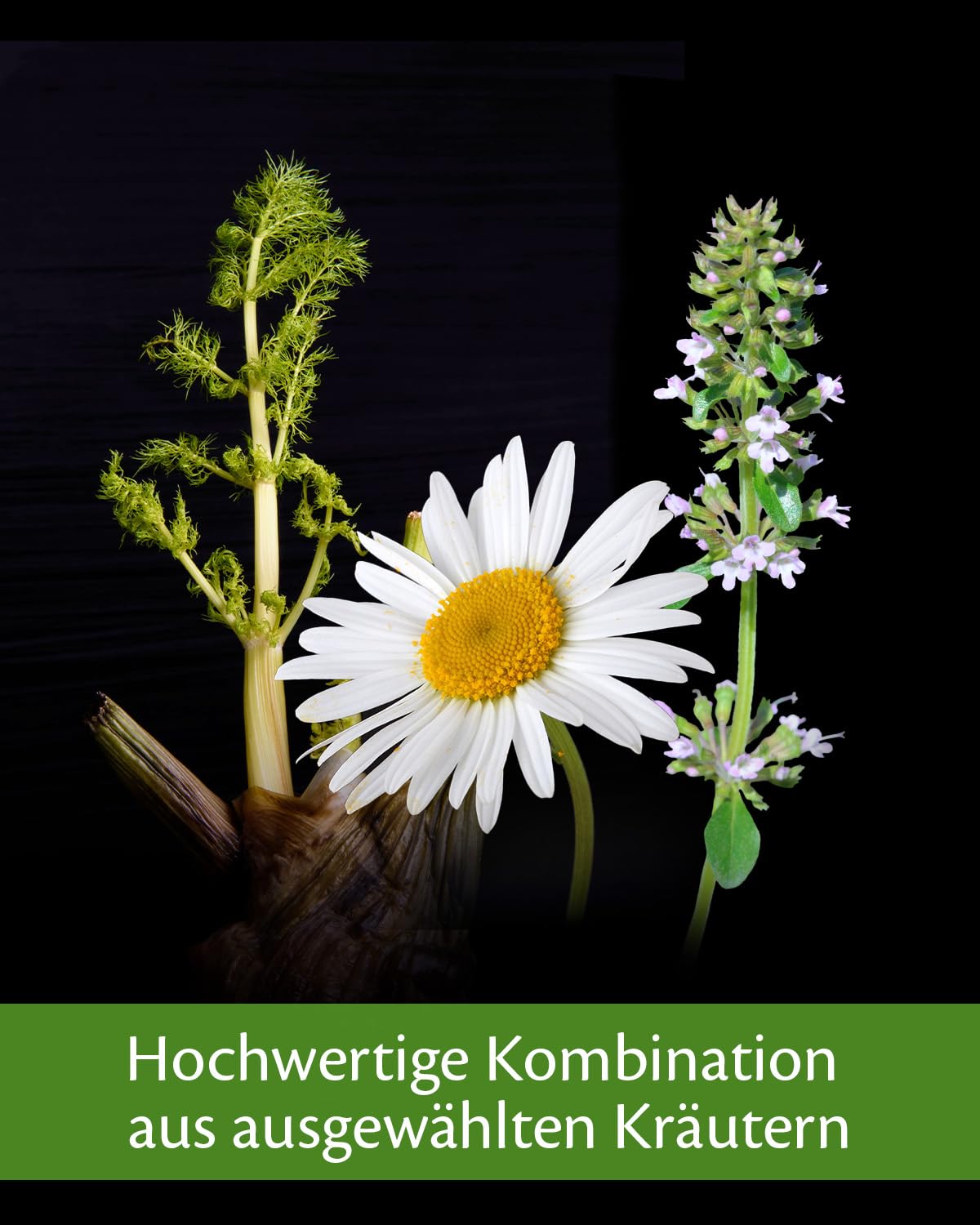 EQUISTRO® Sekrosan | Ergänzungsfuttermittel für Pferde | Zur Unterstützung der normalen Funktion der oberen Atemwege | Kann die Atemwegsfunktion stärken | 1L
