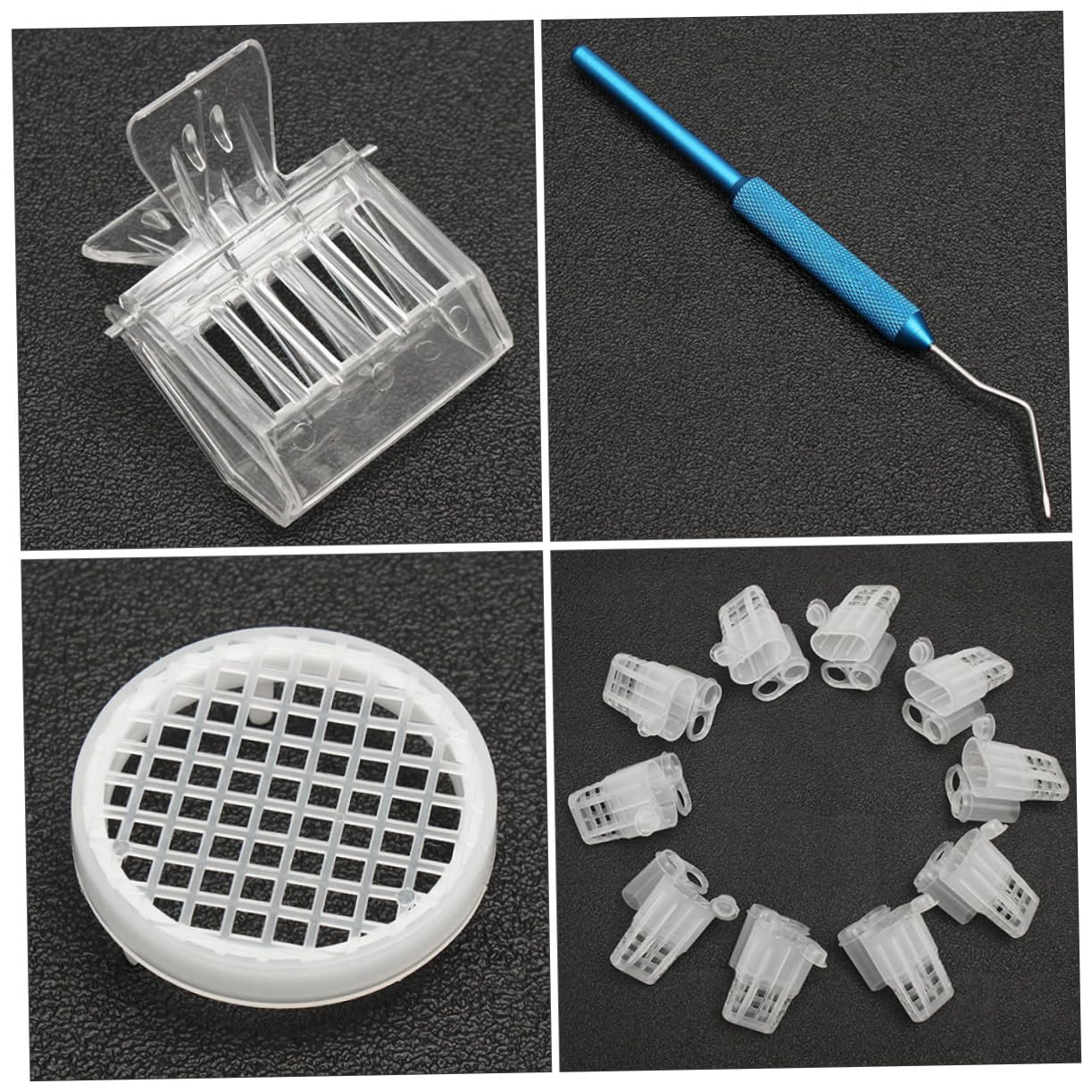 Système D’élevage de Reines Boîte de Culture Plastique Abs pour Abeilles