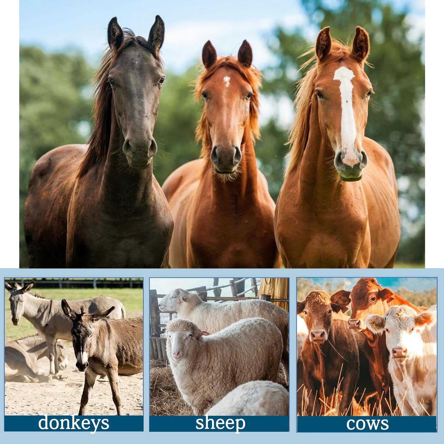 Farrier Tools, Alicates multifuncionales para Recortar pezuñas de 16", Recortadores de pezuñas Veterinarios Ajustables para Cabras, ovejas, Cerdos, Ganado Vacuno y Caballos