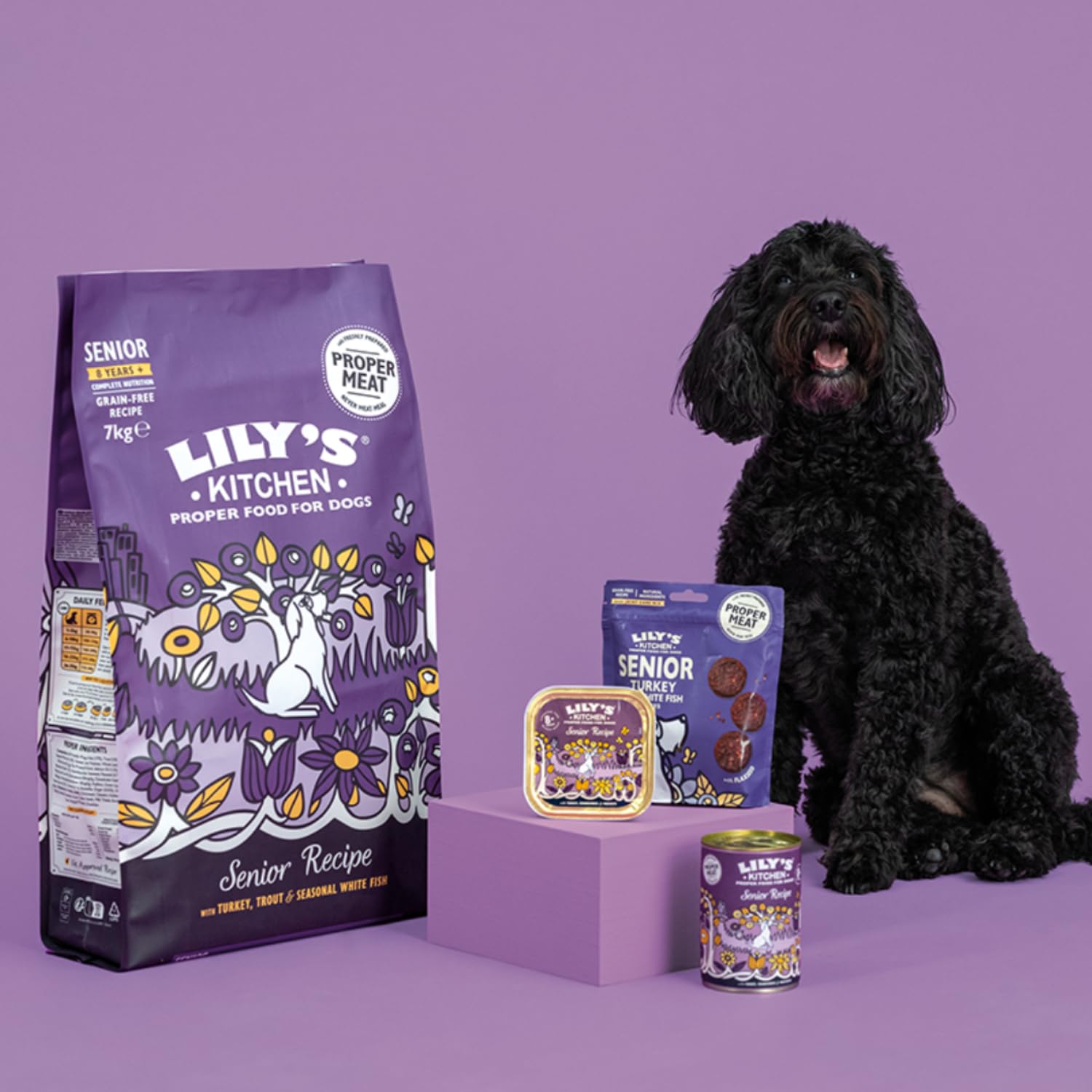 Lily’s Kitchen Fabriqué à partir d’ingrédients naturels Boîte d’Aliments humides pour Chiens âgés À la Dinde et aux Cranberry 6 x 400g