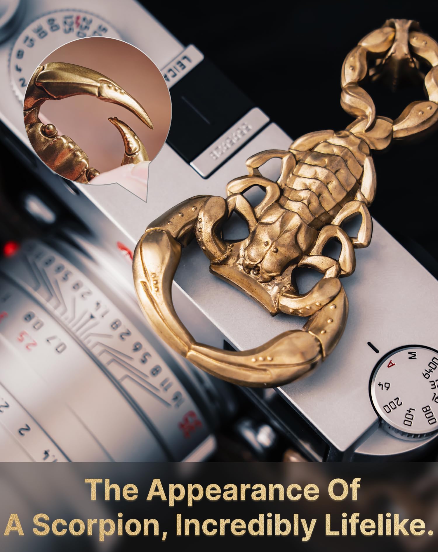 Amazon.co.jp: COPPERTISTWU