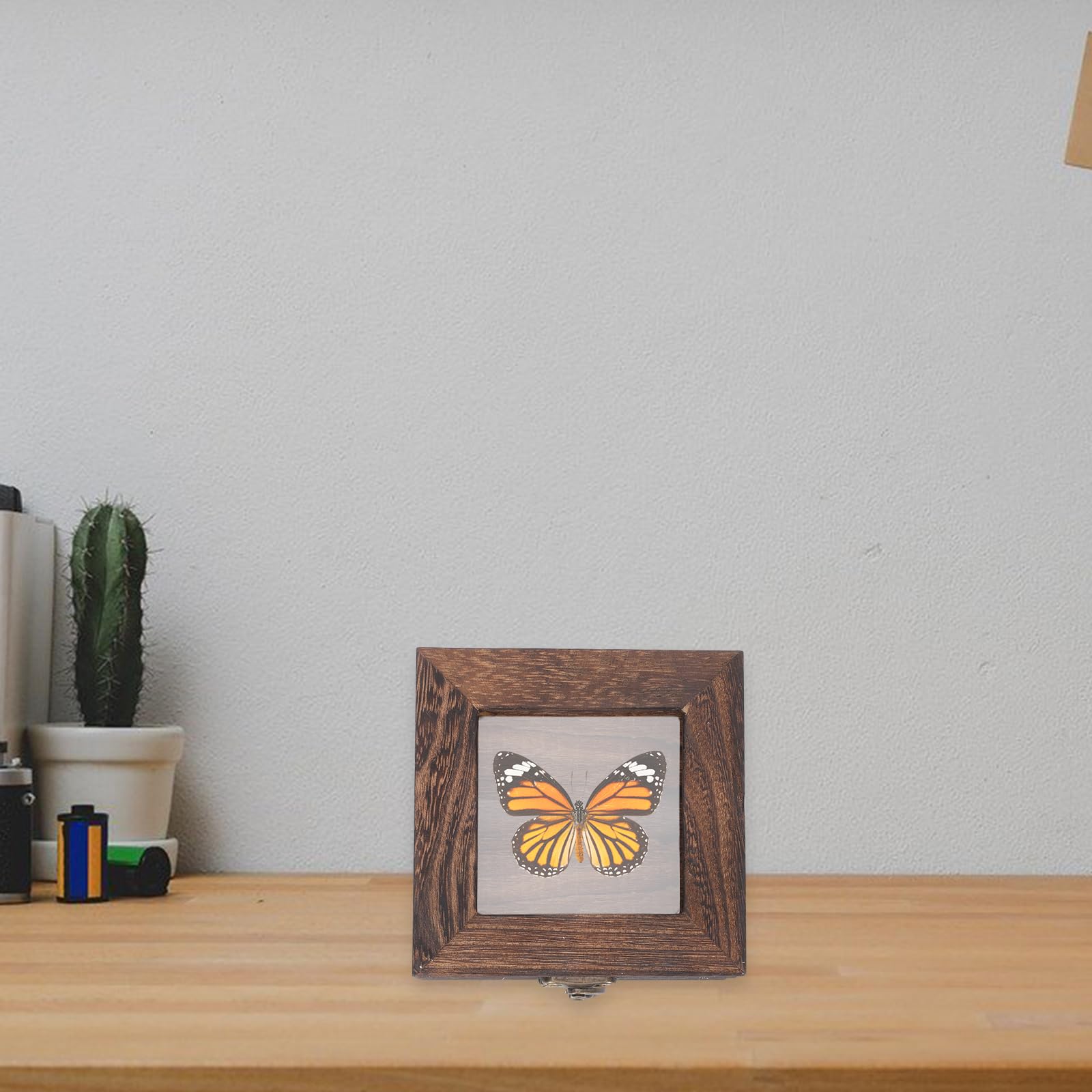 Cabilock Insekten Aufbewahrung mit Design Vitrine und Acryl Retro Multifunktionale Kleine Holzkiste mit Deckel für Schmuck und Münzen
