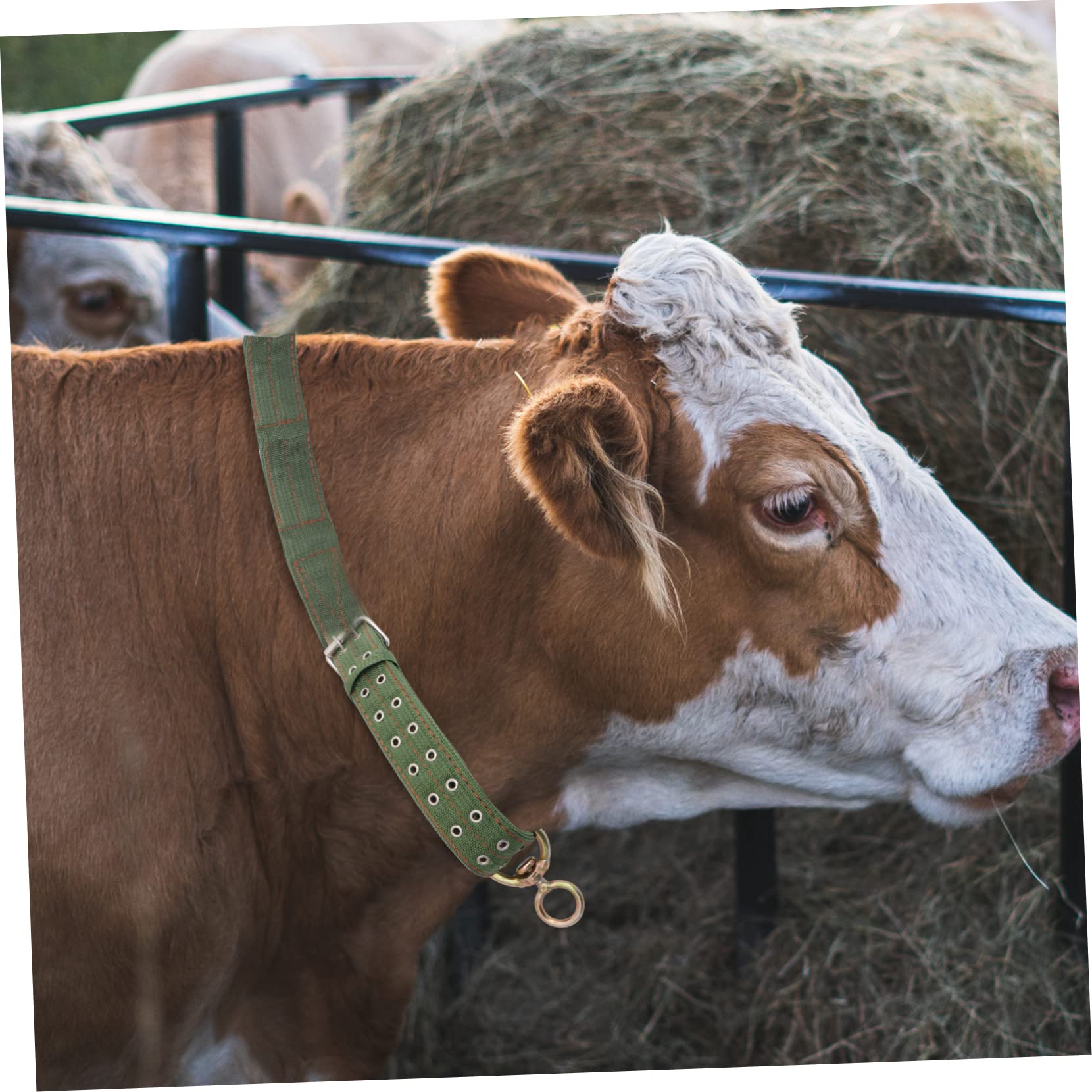 Collar para Ovejas y Caballos de Lona Verde, Resistente y Confiable, No Lastima el Cuello del Ganado, Adecuado para Manejo y Alimentación en Granjas