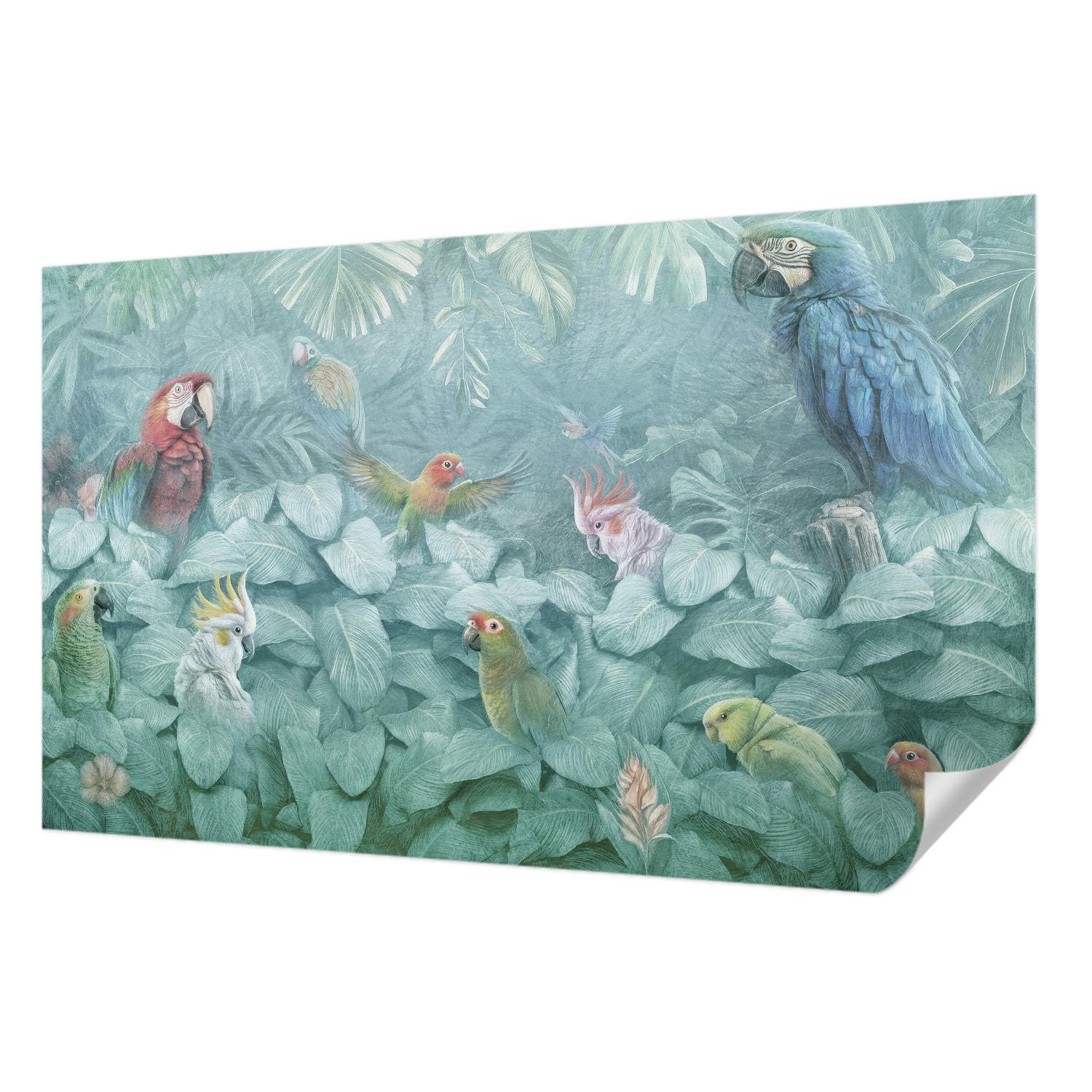 Papier Peint Autocollant pour Chambre et Salon Tulup Panoramique Oiseaux Exotiques