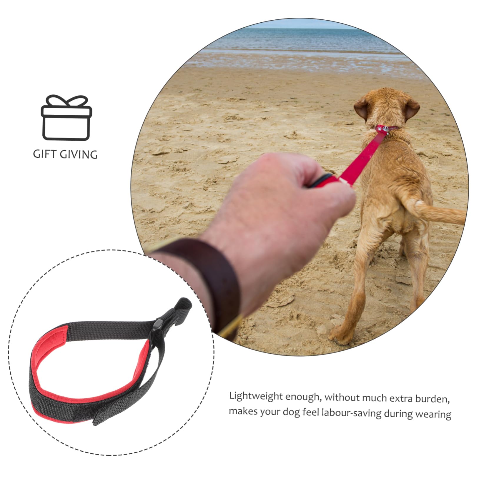 POPETPOP 4 Pezzi Per Cani Per Cuccioli Guinzaglio Multiuso Per Passeggiate Guinzaglio Per Addestramento Animali Domestici Forte Allaperto Comodo Per Cani Corda