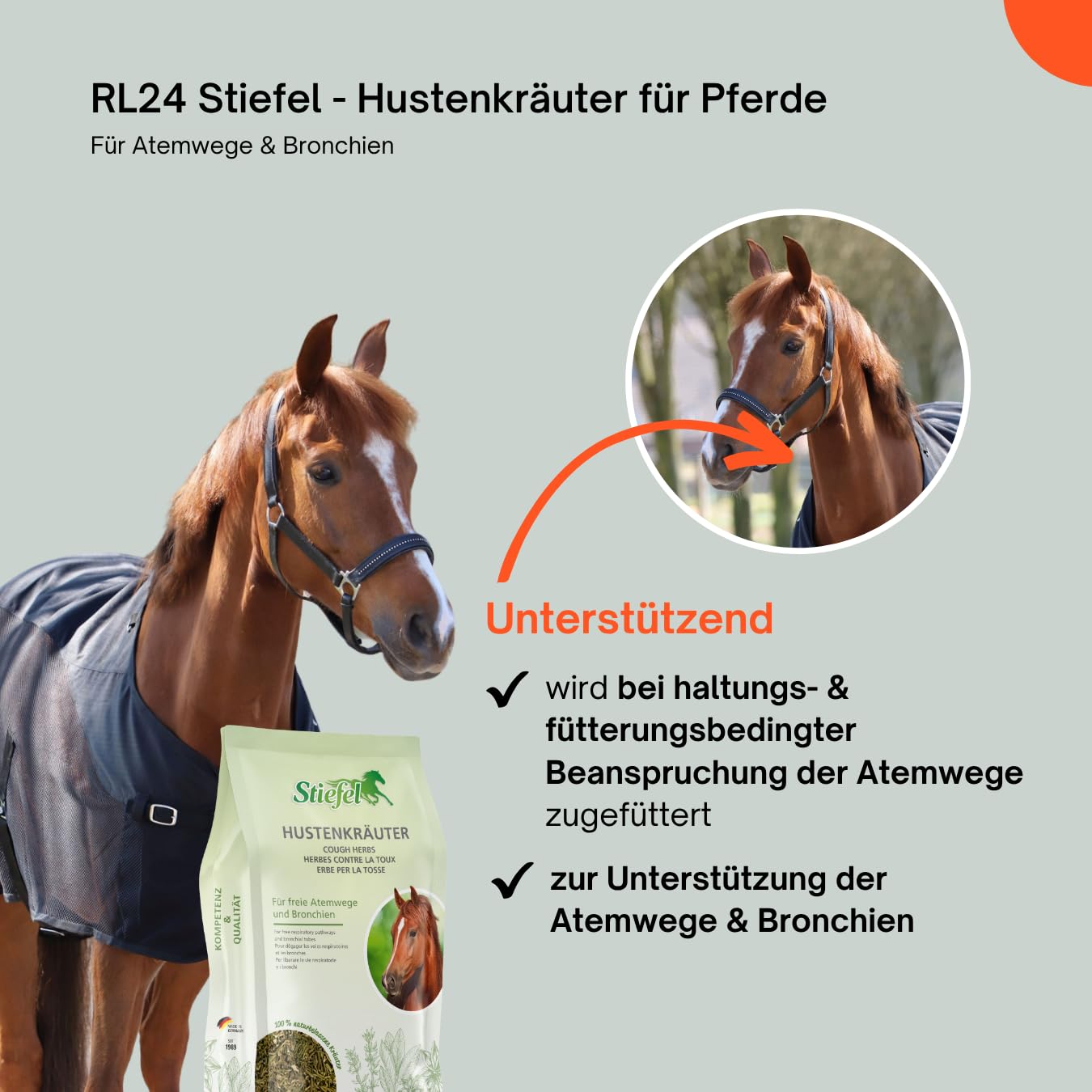 RL24 Stiefel - Hustenkräuter für Pferde – 3 x 1000 g Tüte (3er Set)