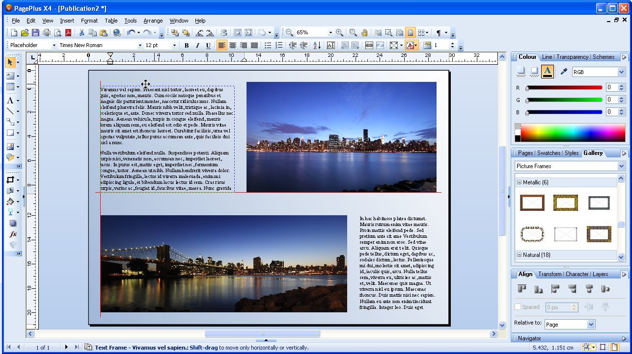 SERIF PAGEPLUS X4