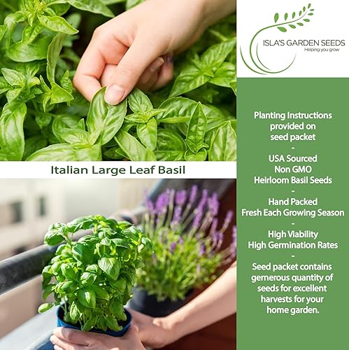 Miniatura 2 de Semillas italianas de albahaca de hoja grande para plantar, más de 1000 semillas de reliquia por paquete, semillas de jardín de Isla (semillas de