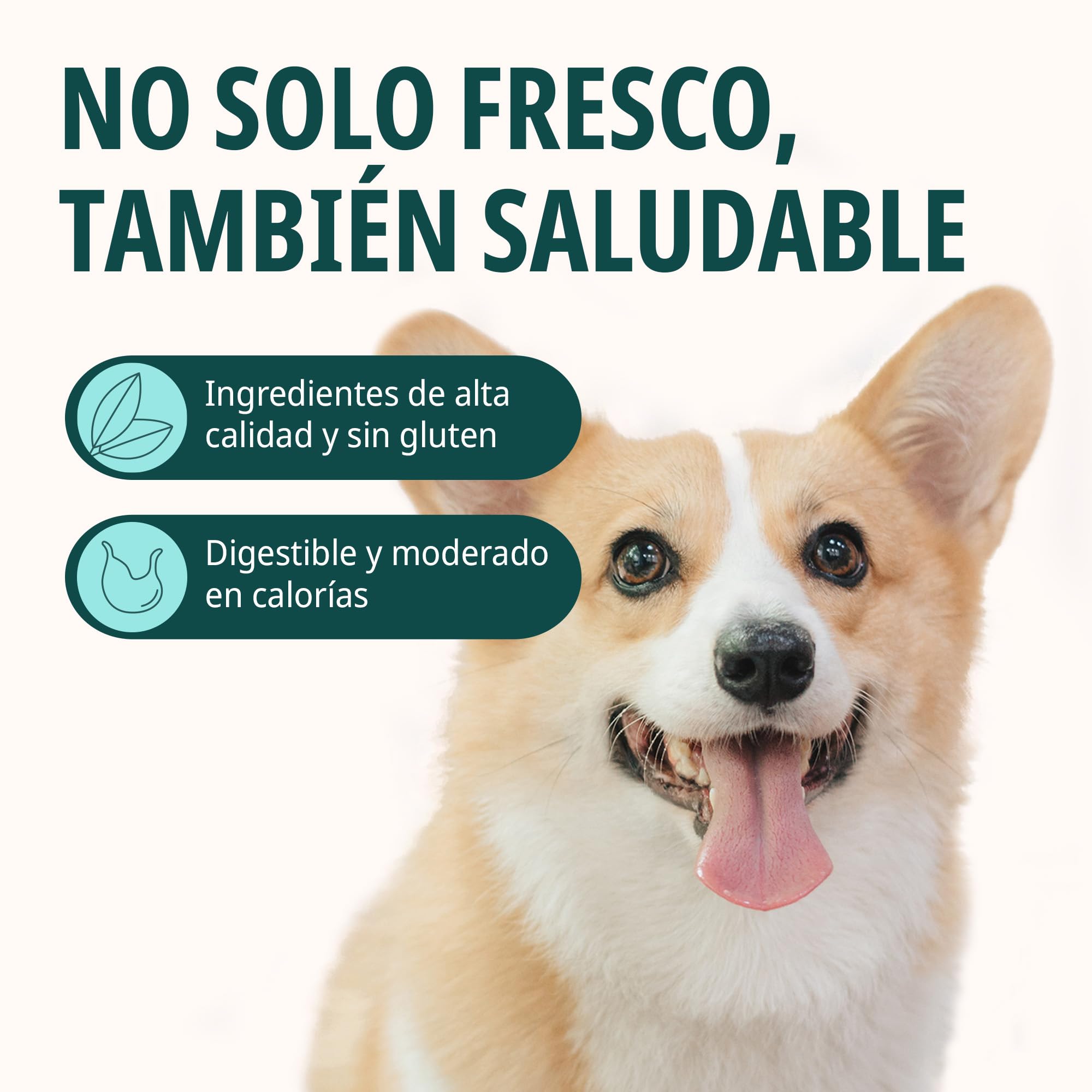 vn100758 Strips of Snack Fresh, XS