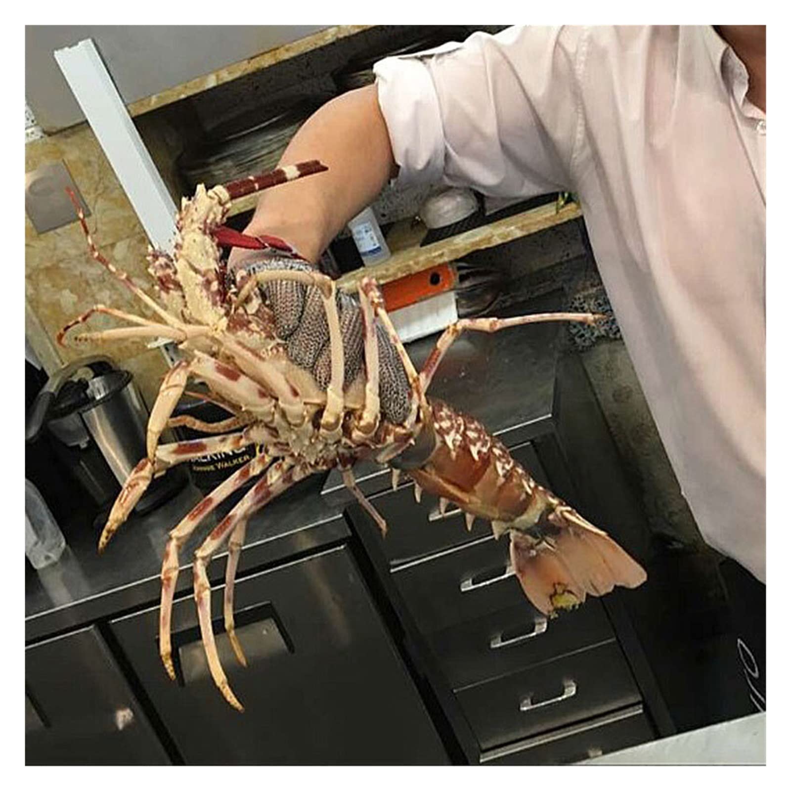 Rękawice robocze, Food Grade 304 Szczotkowana Siatka Ze Stali Nierdzewnej Siatka Odporna na Przecięcie Kolczuga Rękawiczki Do Cięcia Mięsa Butcher Glove(XL)