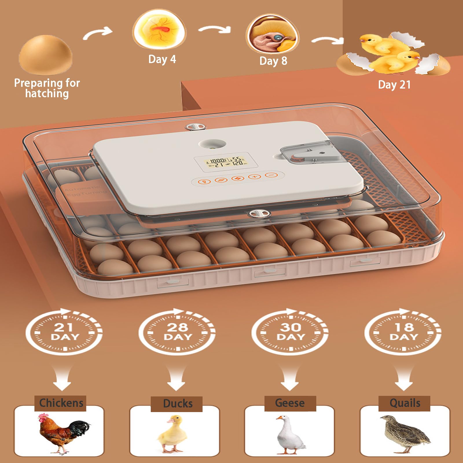 Un'incubatrice in Grado di Far schiudere 56 Uova,Rotazione Automatica delle Uova e Luce LED per l'osservazione delle Uova; Adatta alla schiusa di pollame Come polli, Anatre e oche