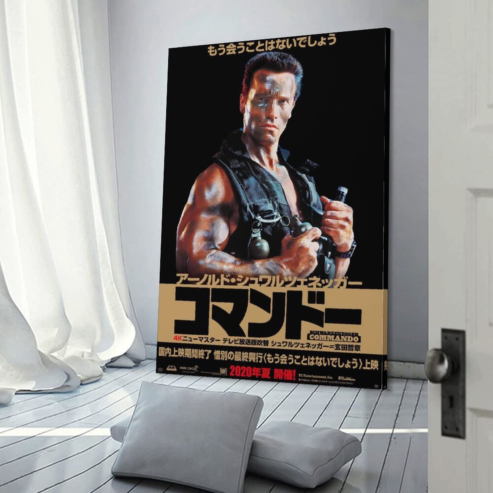 Amazon.co.jp: アーノルド・シュワルツェネッガー主演素晴らしい映画