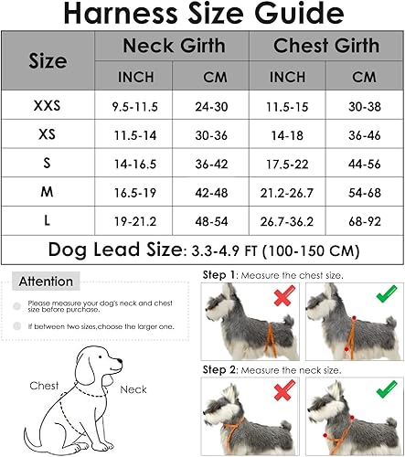 Miniatura 2 de Lukovee Arnés para perro y correa, arnés ajustable resistente para cachorro, suave acolchado y reflectante, arnés antitorsión, correa para mascota,