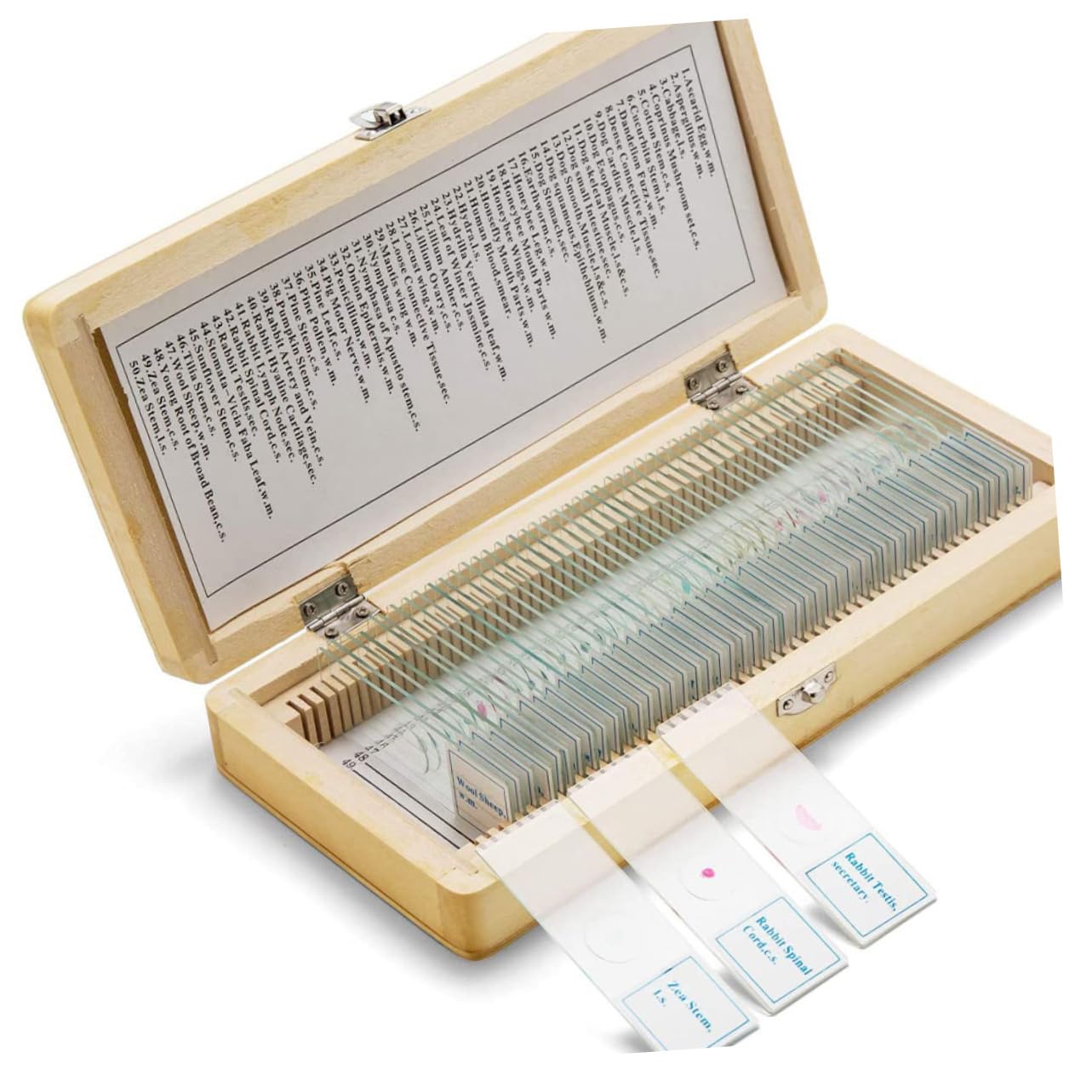 Amosfun Boîte Coulissante en Bois Compacte et Facile à Transporter Compartiments Numérotés pour 50 Lames de Microscope pour Collection de Spécimens