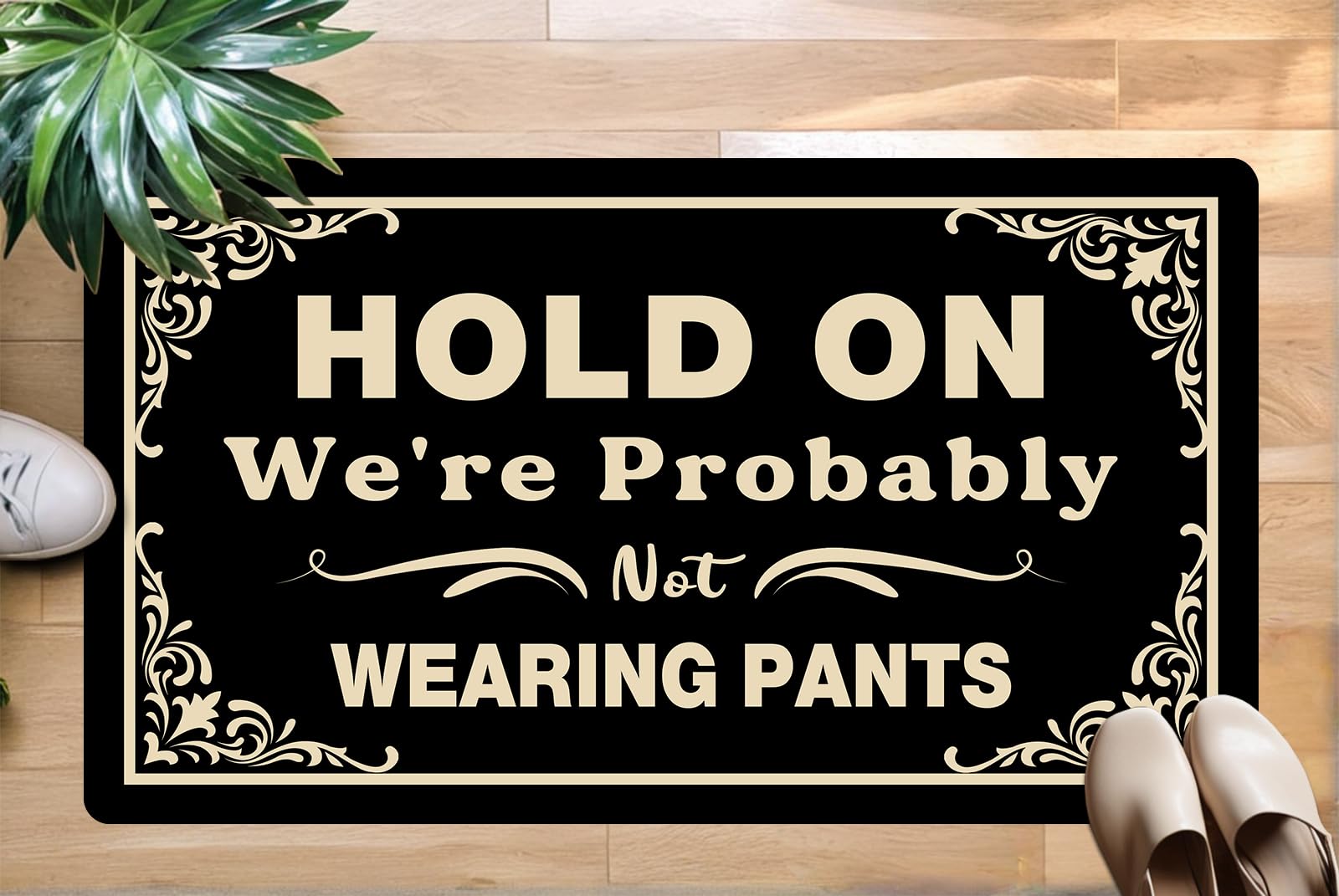Funny Welcome Doormat - Hold On We're Probably Not Wearing Pants, Non-Slip Personalized Home Decor Mat for Indoor Outdoor Entryway, Rubber Backing Decorative Farmhouse Style,17x30 Inches