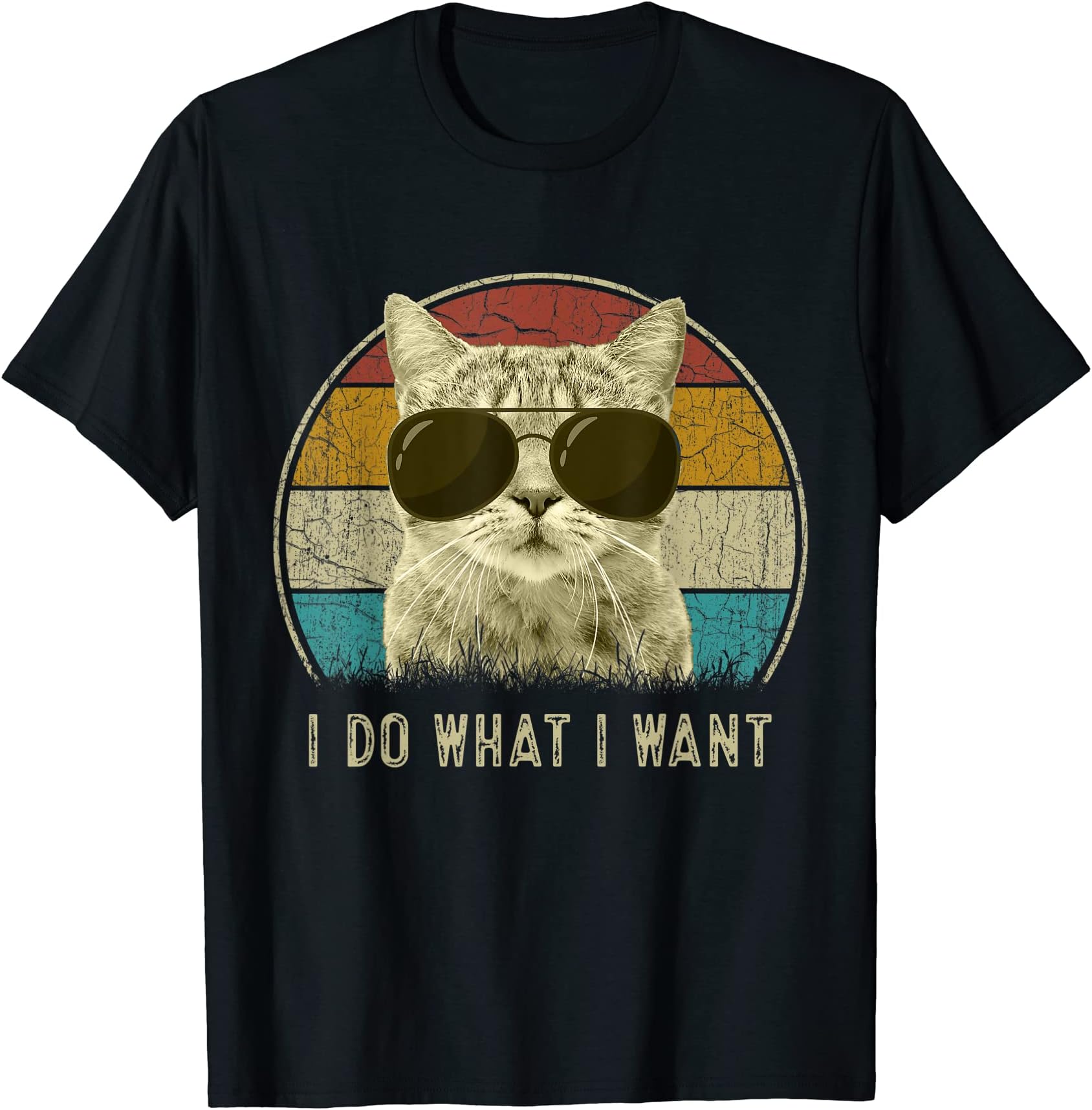 i do what i want cat shirtFunny Cat Shirt Retro Cats Lover I do What I Want T-Shirt