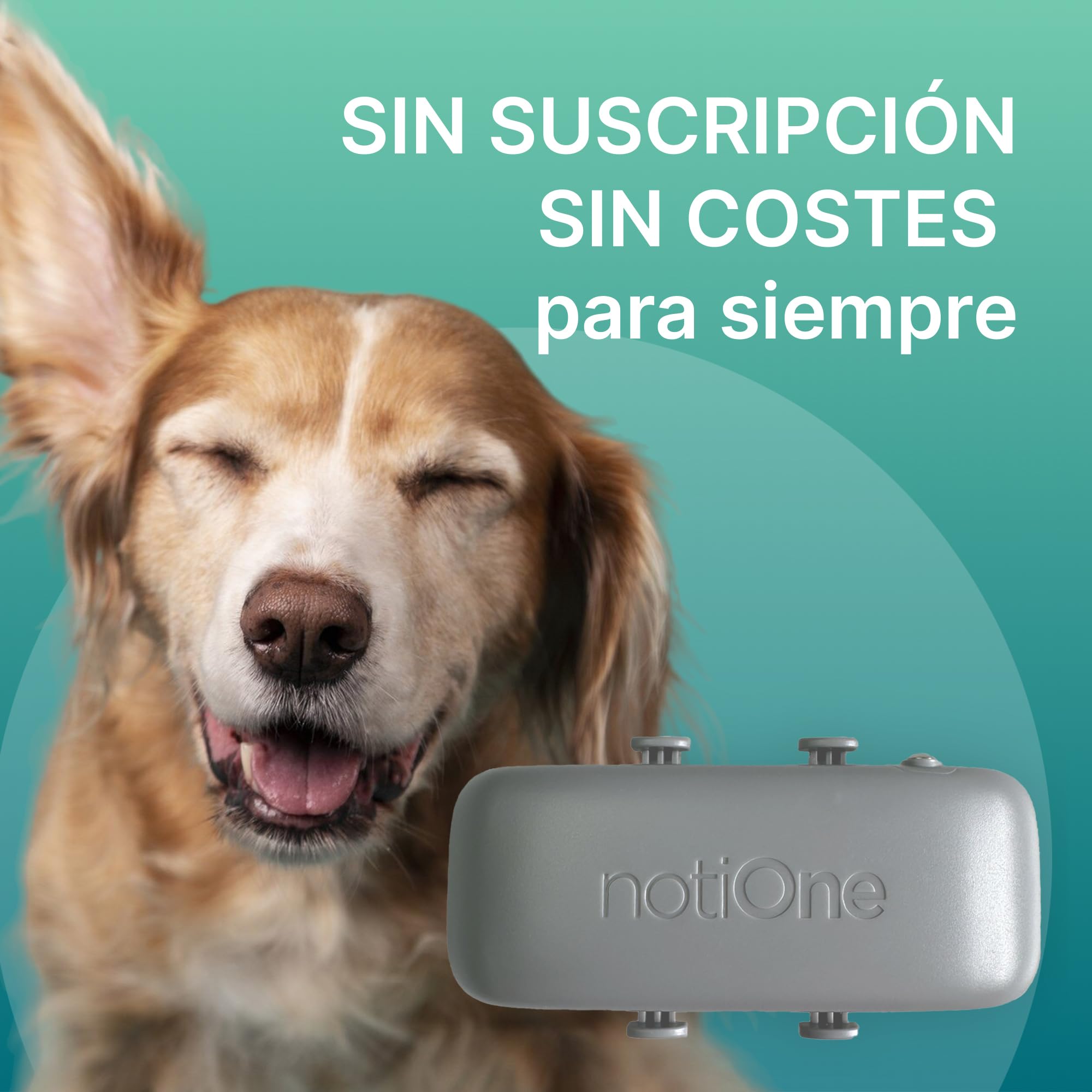 localizador GPS Plus Perros y Gatos – sin suscripción, Collar GPS Impermeable con geocerca y Roaming Gratuito