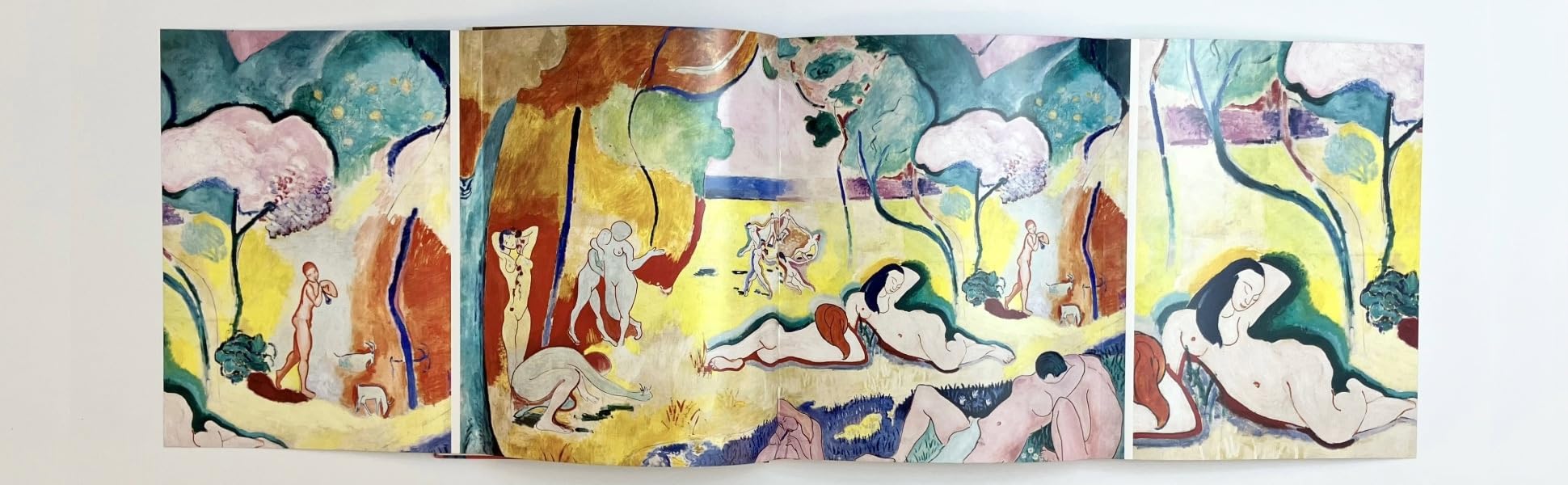 Matisse: The Bigger Picture