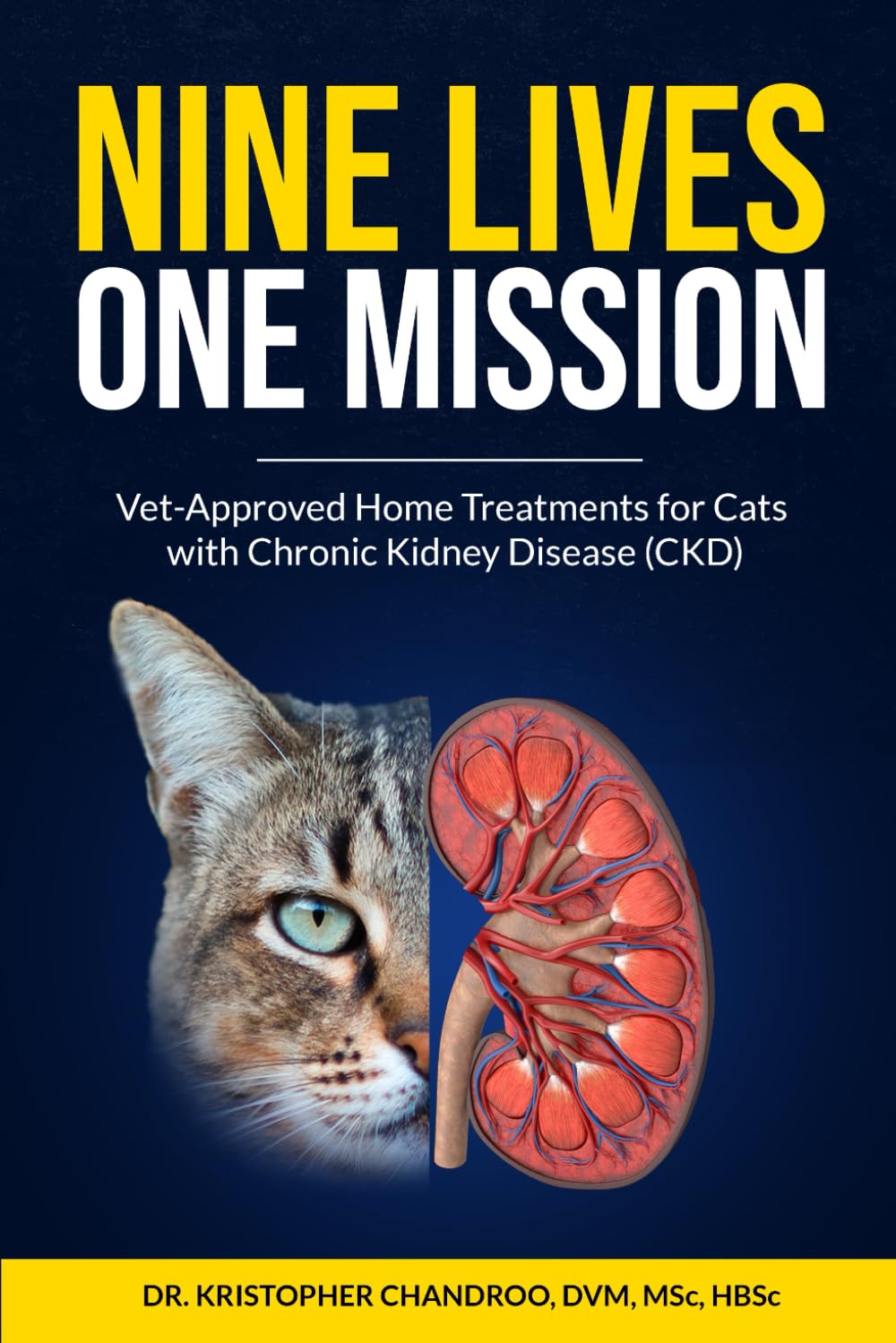 NINE LIVES, ONE MISSION: Vet-Approved Home Treatments for Cats with Chronic Kidney Disease (CKD)