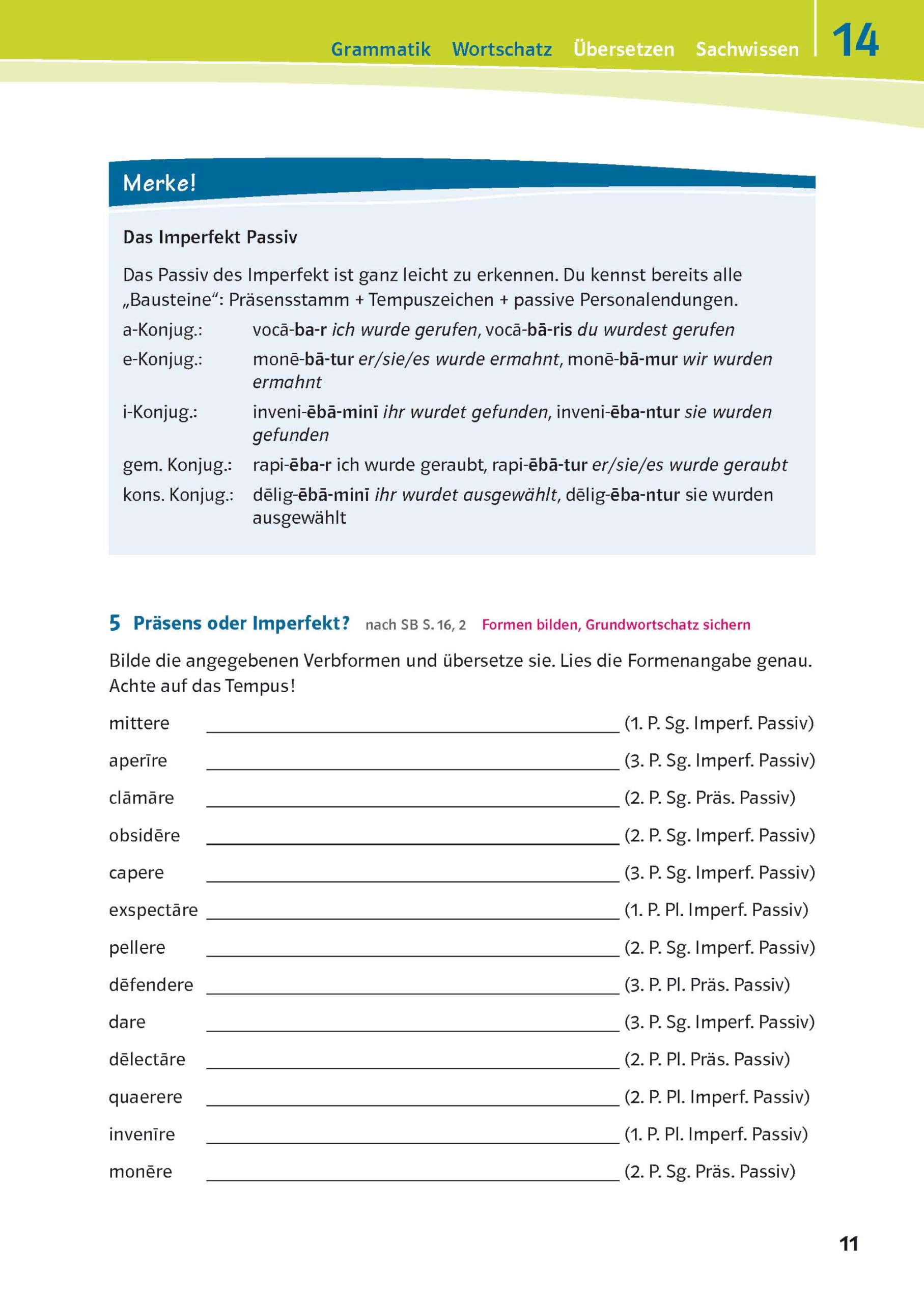 Pontes 2 - Das Trainingsbuch zum Schulbuch: 2. Lernjahr (Pontes. Ausgabe ab 2014)