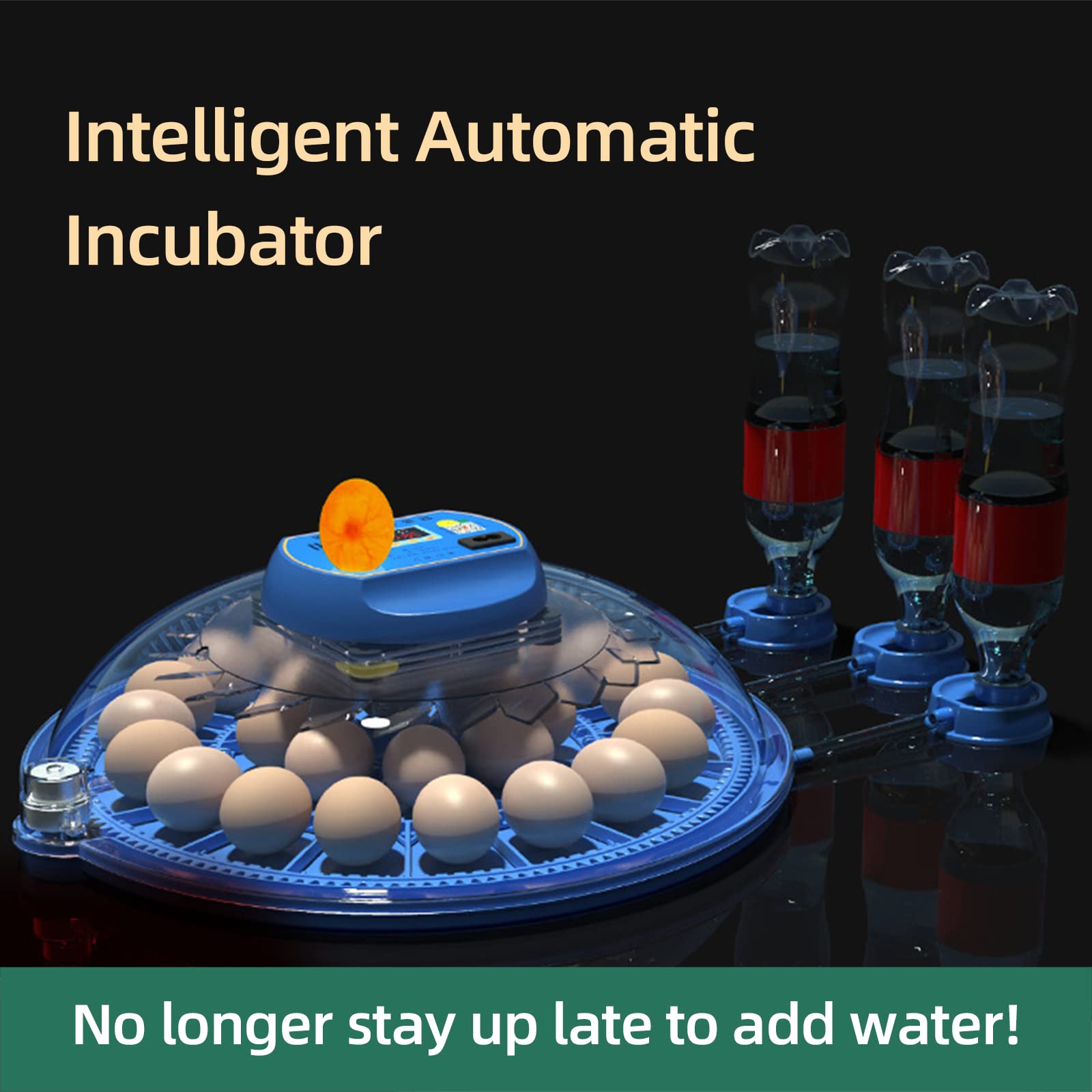 Amazon.com: BSNANCA Egg Incubator, 26 Egg Incubators for Hatching