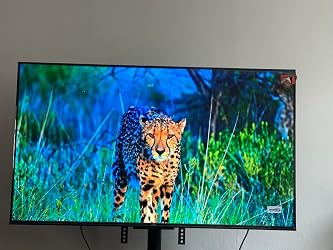 ubuy Australia