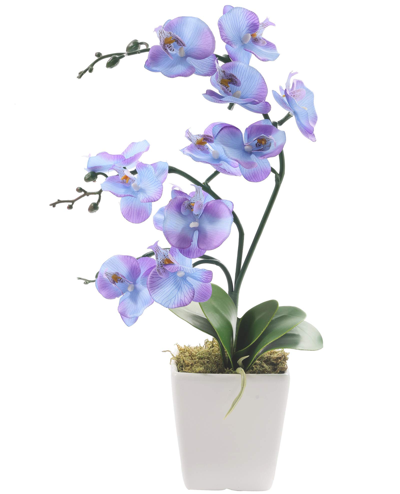 YSZL 15" Tall Artificial Silk Phalaenopsis Orchid Flower Plant Pot Arrangements (Purple Blue)