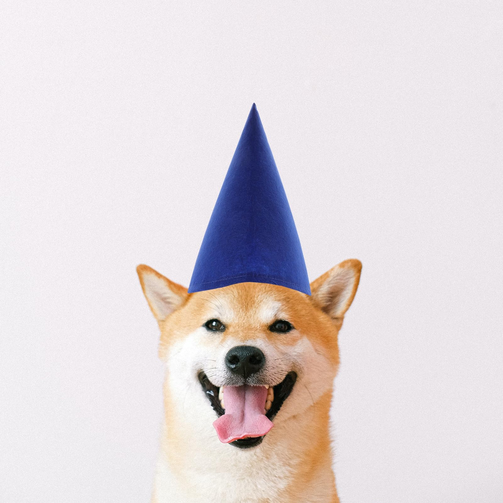 Angoily 7 sombreros de enano de fieltro grueso en forma de cono, multicolor, gorro de Navidad para fiestas y accesorios de disfraces para celebraciones