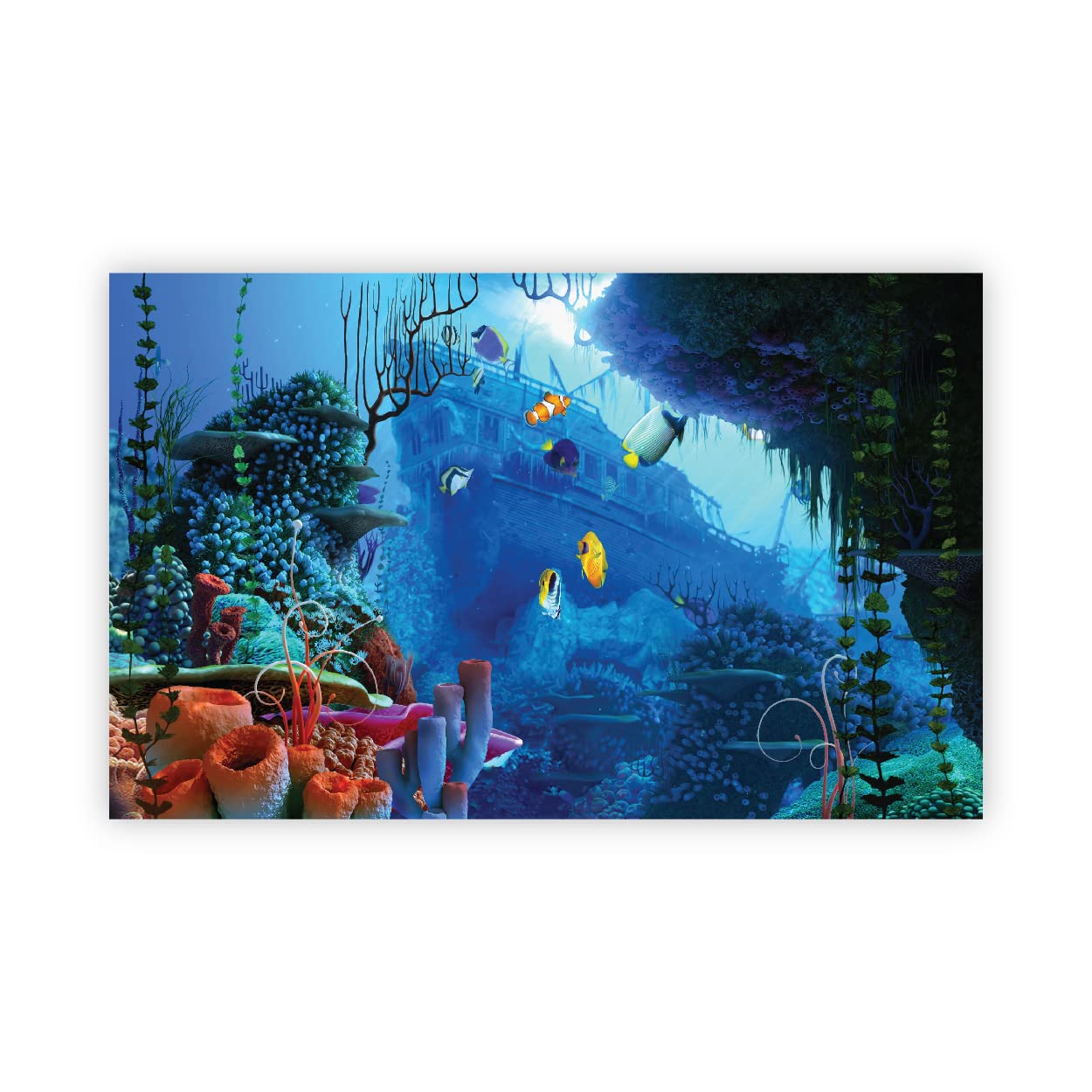 See full amazon price history chart for VVWV® Aquirium Back Ground Stickers for Fish Tank Waterproof Vinyl Printed Sticker Multicolored (91 X 41 CMS) VVWV® Aquirium Back Ground Stickers for Fish Tank Waterproof Vinyl Printed Sticker Multicolored (91 X 41 CMS) (B0BW486GJ7) Amazon Price History, Amazon Price Tracker