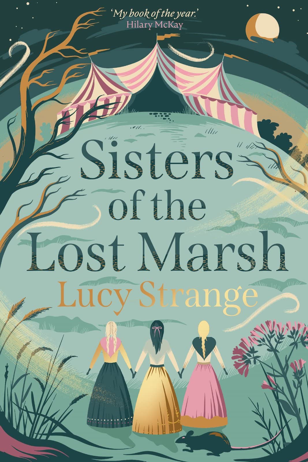 Sisters of the Lost Marsh: from Waterstones Prize-shortlisted author Lucy Strange