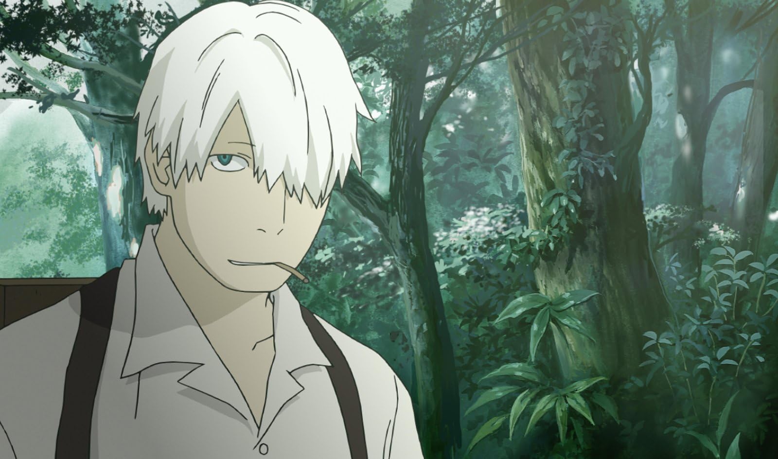 Mushi-Shi - Die komplette erste Staffel LTD. - Mit allen 26 Episoden und Fan-Beigaben!