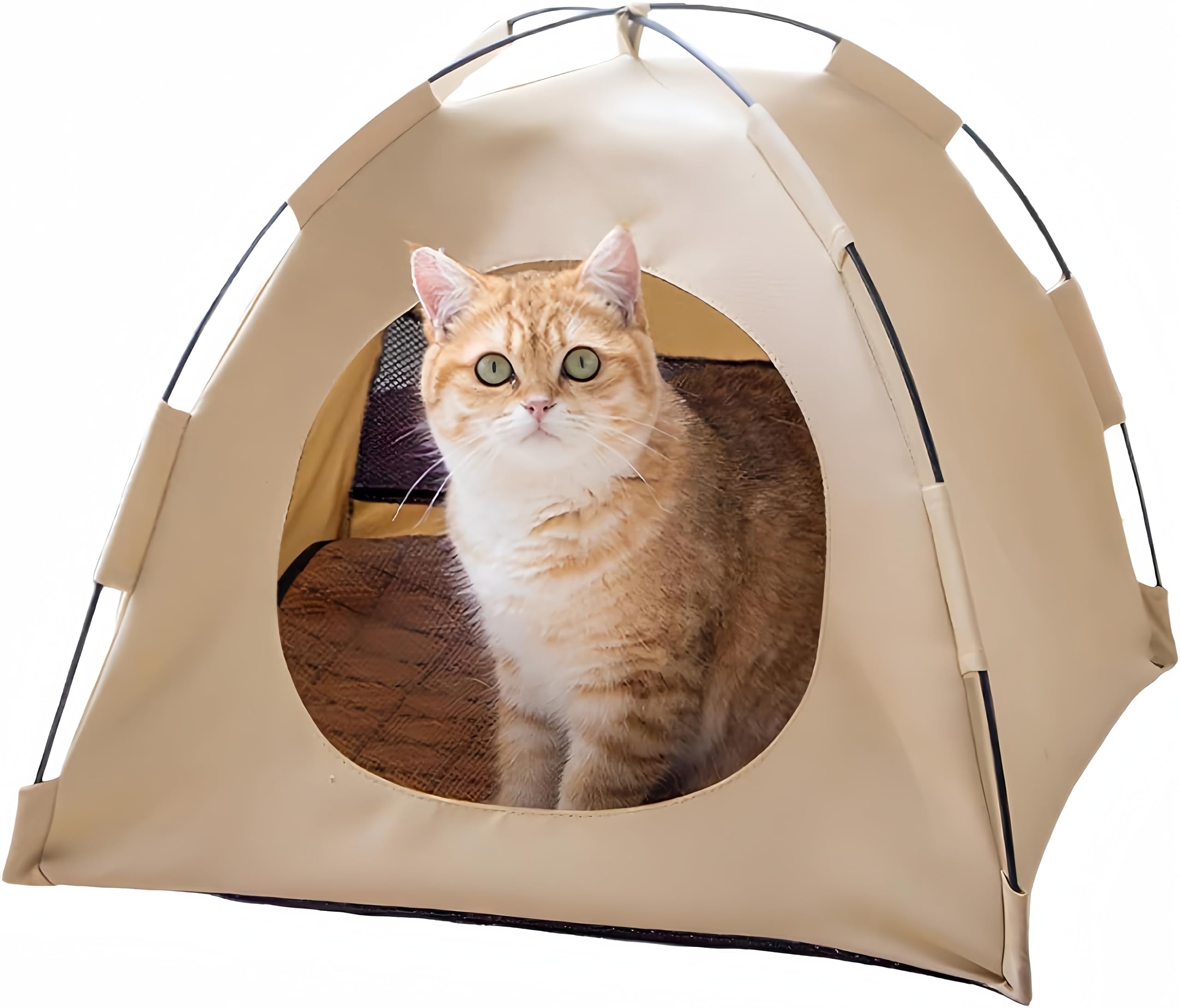 Amazon | JiangMuXin 猫ベッド 猫ハウス 猫テント ペットテント ペット