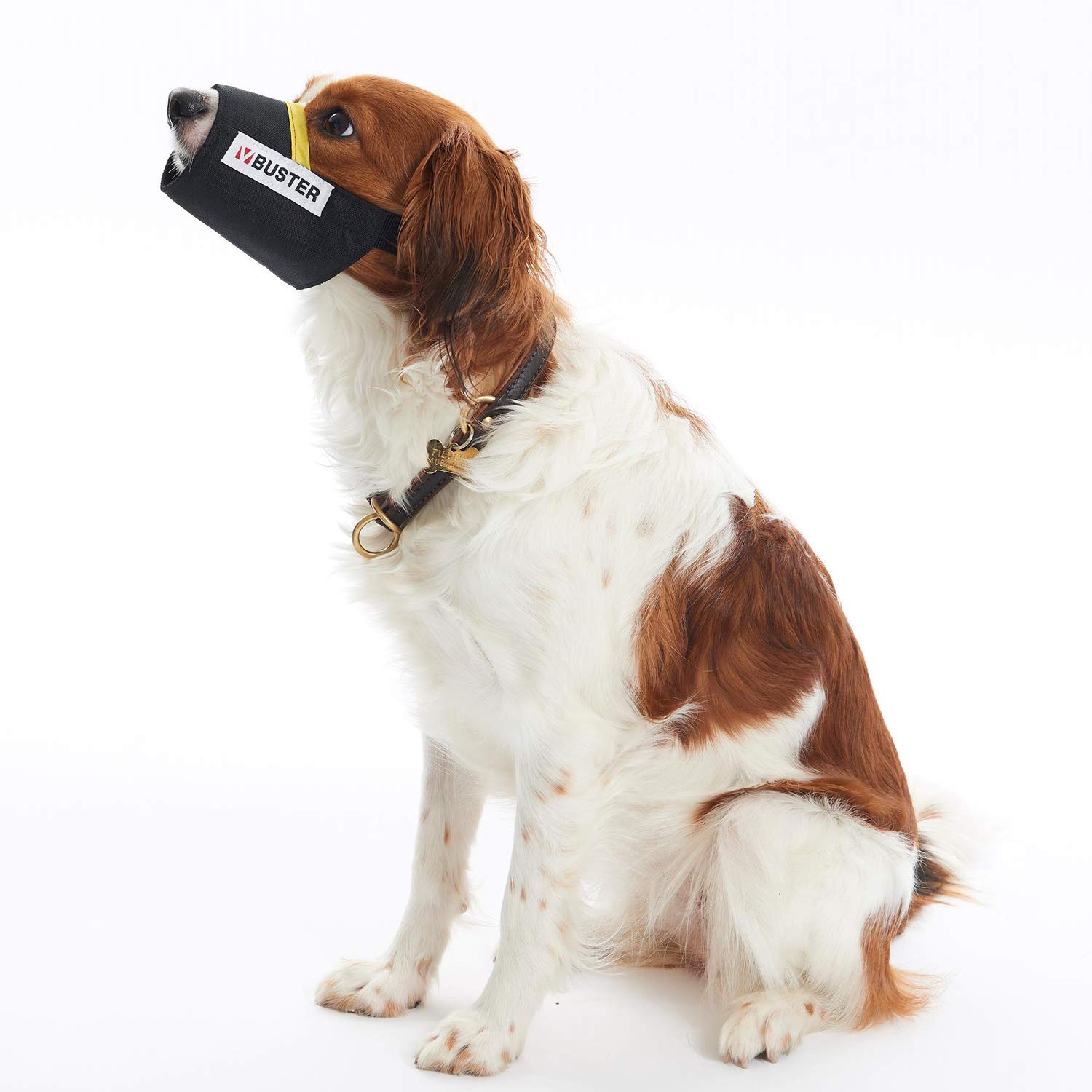 Bozal Nylon Easy-ID Para Caniche Toy XS - Talla 2-4 Kg