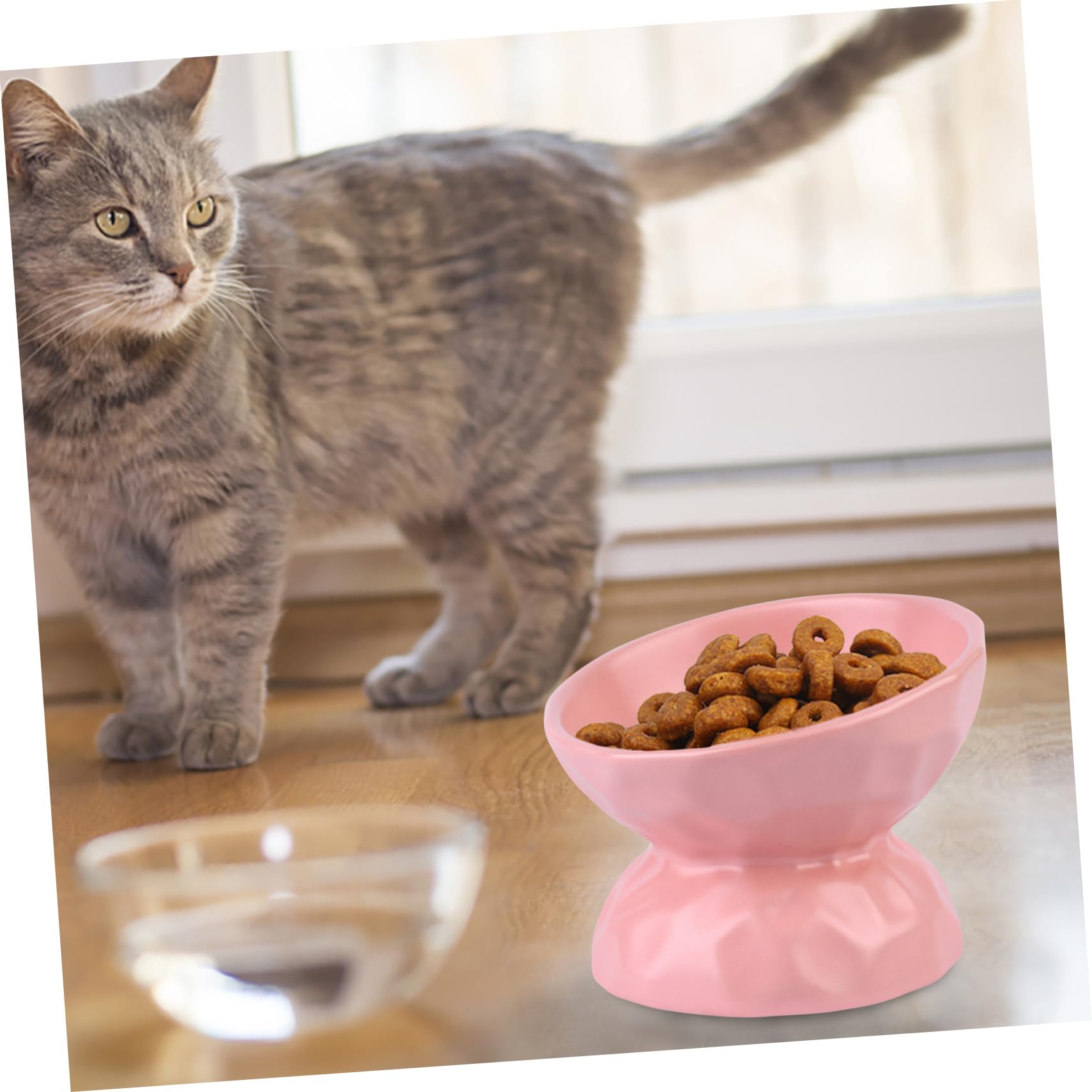 INOOMP Comedero De Cerámica para Gatos y Plato Antivoracidad y Antivuelco Diseño Ergonómico para Alimentación y