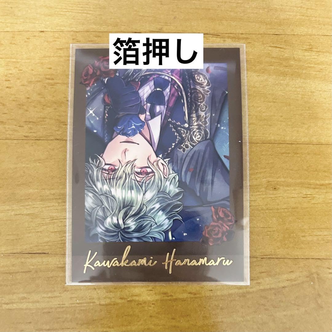 Amazon.co.jp: あくねこ 悪魔執事と黒い猫 カワカミ ハナマル パシャ