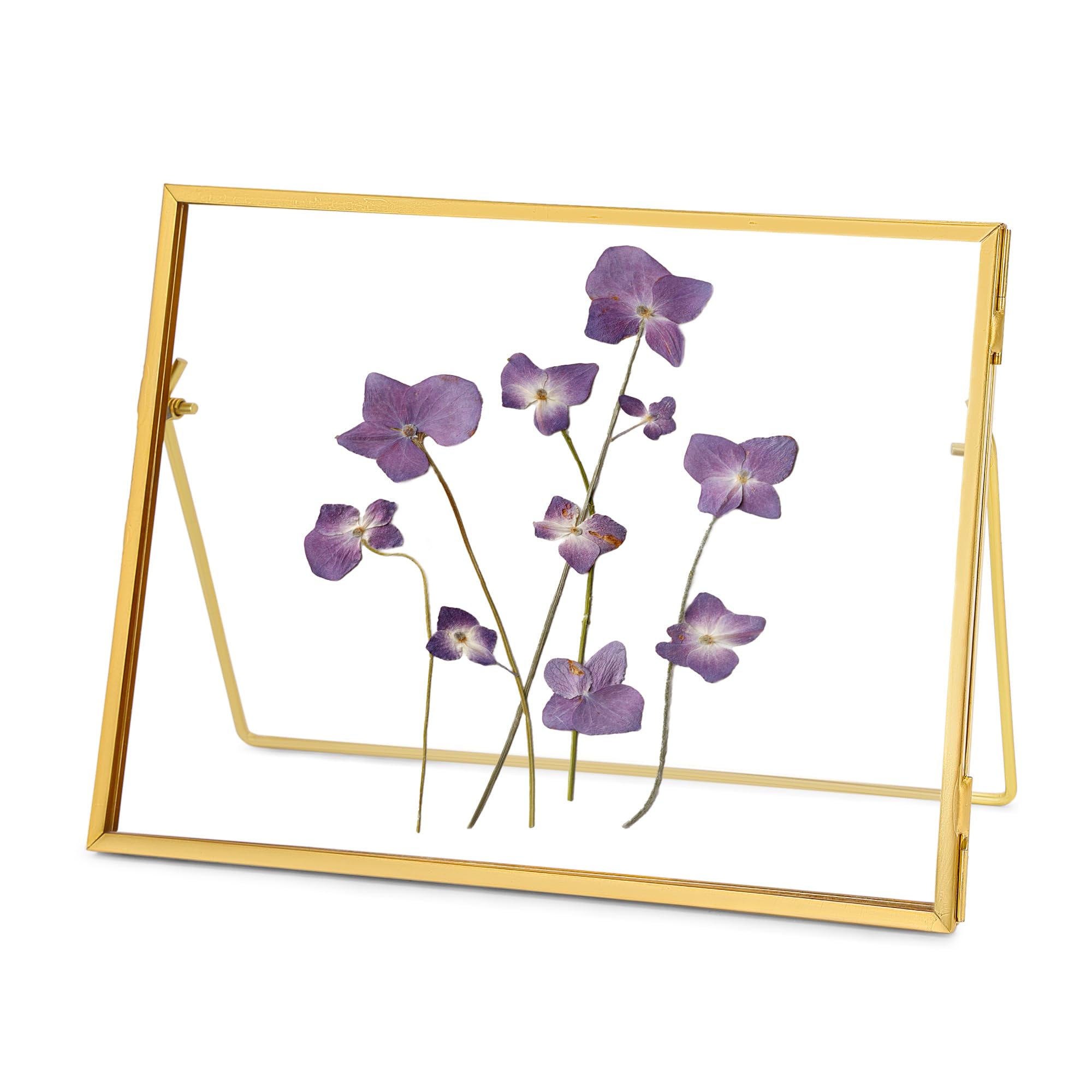 REDHUGO Glass Pressed Flower Frame Handmade, Glass Floating Picture Frames Tabletop Brass Photo Frame for DIY Dried Flowers Home Plant Specimen,