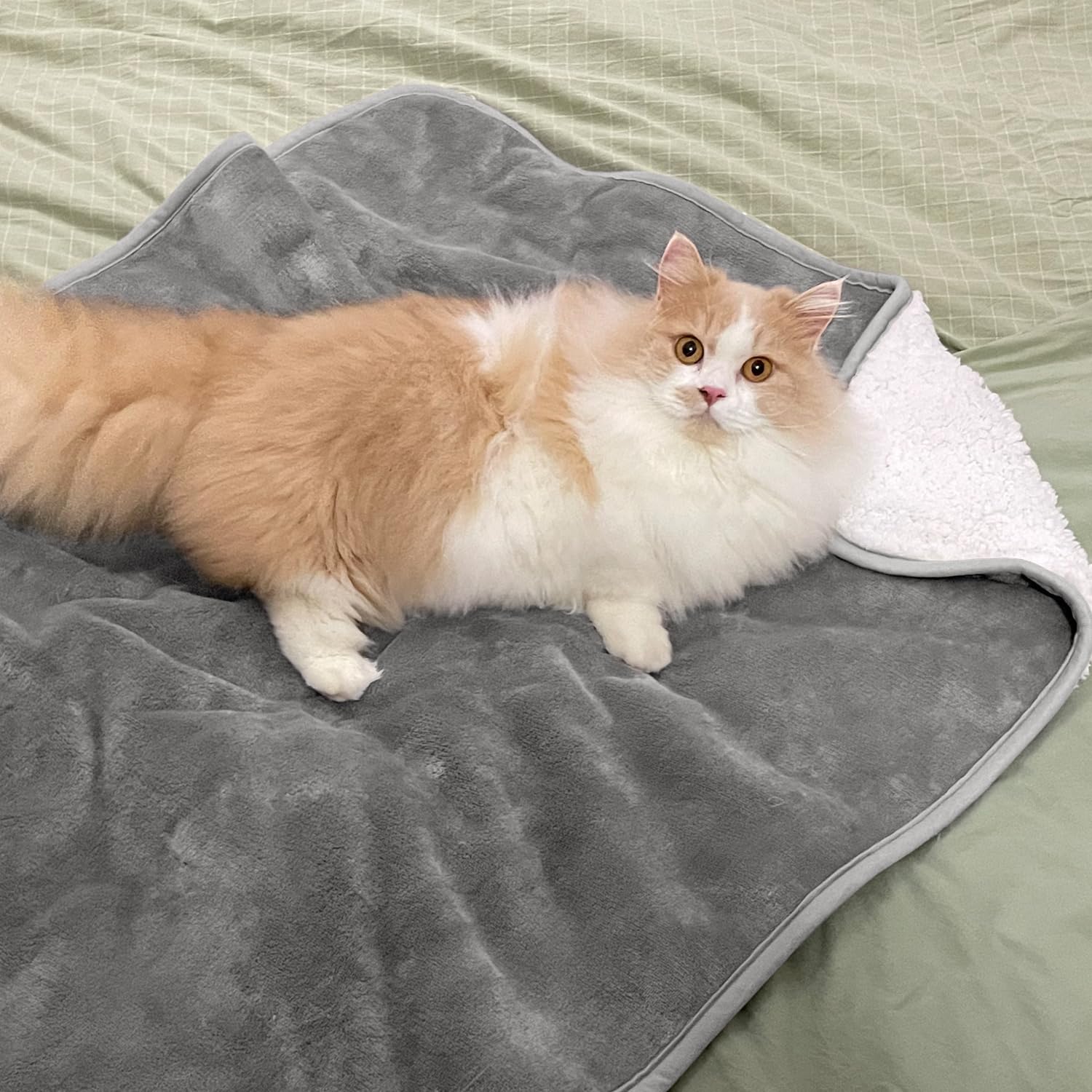 Yaning Waterproof Blanket for Bed Couch Sofa Soft Liquid Pee Proof Pet Blanket for Dog Puppy Cat Reversible Sherpa Fleece Blanket for Furniture Protector (Grey - Image 2