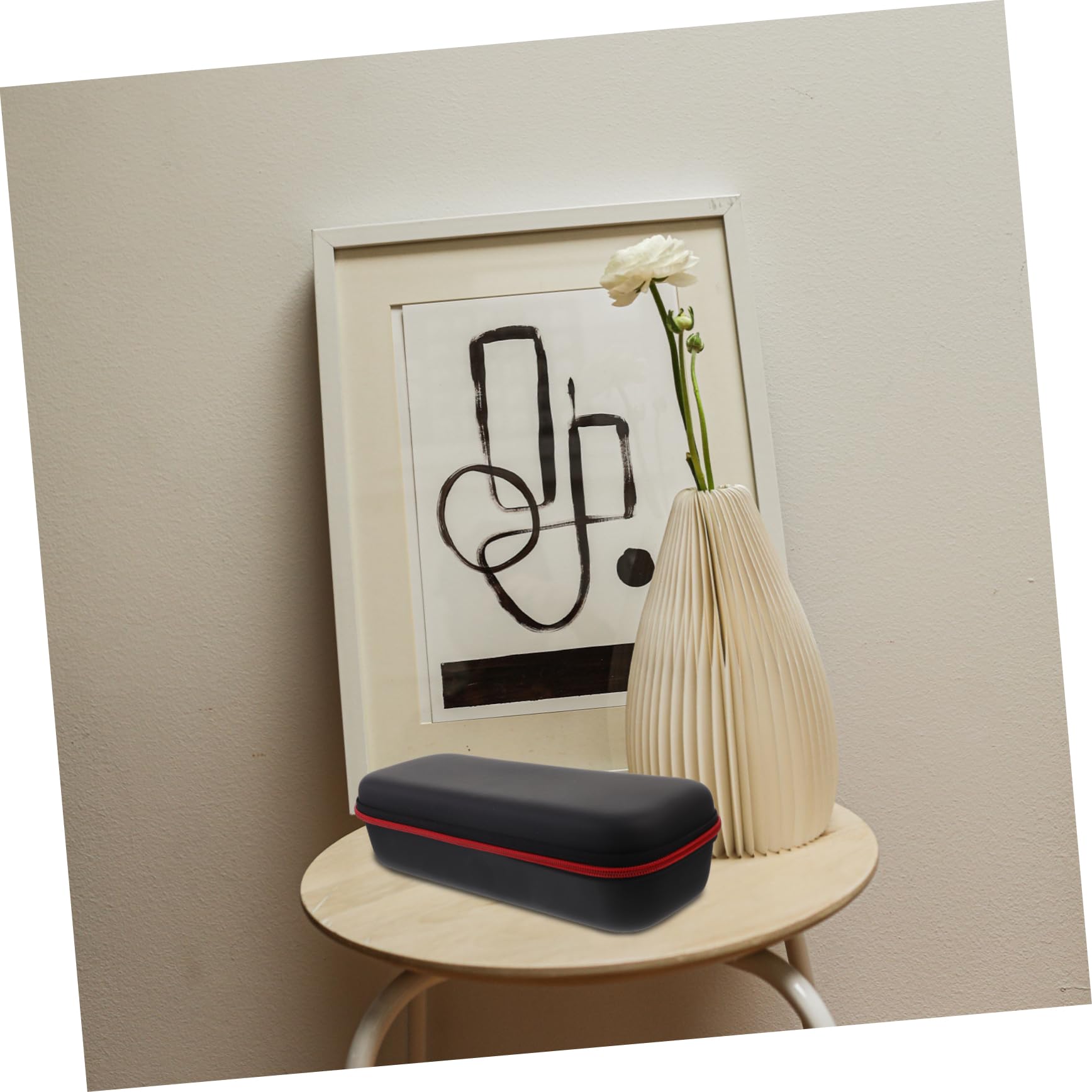 Abaodam Microphone Storage Container Drop Resistant Portable Eva Bag for Vocal Mic Large Zipper Pouch for Mic Digital Devices