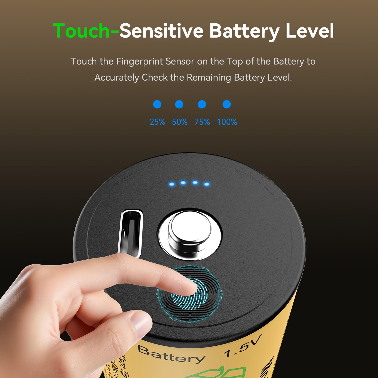 Batterie ricaricabili C, confezione da 4, 7400 mWh agli ioni di litio C, 1,5 V, con cavo di ricarica USB-C 4 in 1, indicatore di livello della batteria, per torcia, lettore CD, lampada da