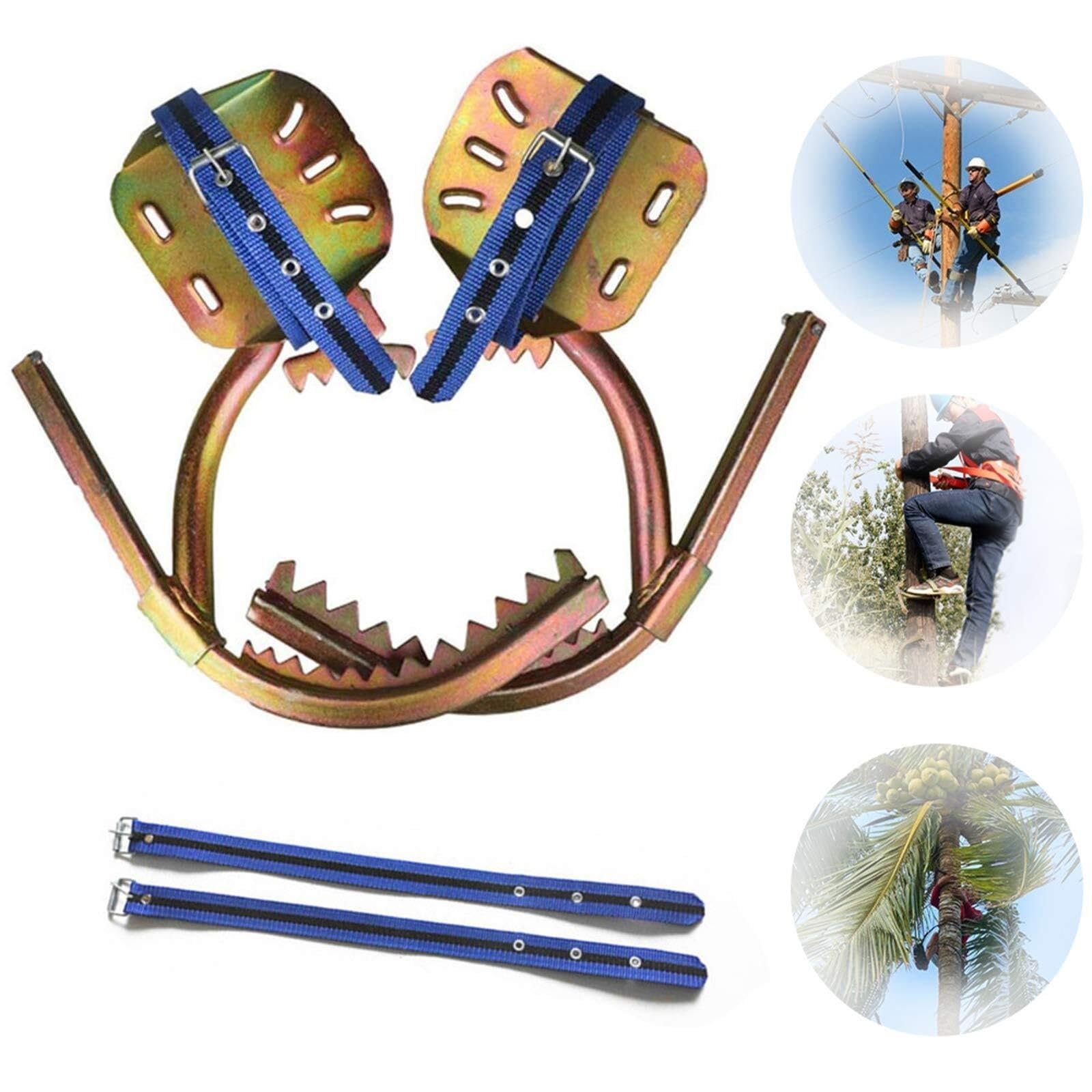 Kit d'équipement pour l'élagage et l'escalade d'arbres - Crampons antidérapants en Acier Inoxydable avec Ceinture de sécurité - Équipement Indispensable pour l'arboriculture et Les activités