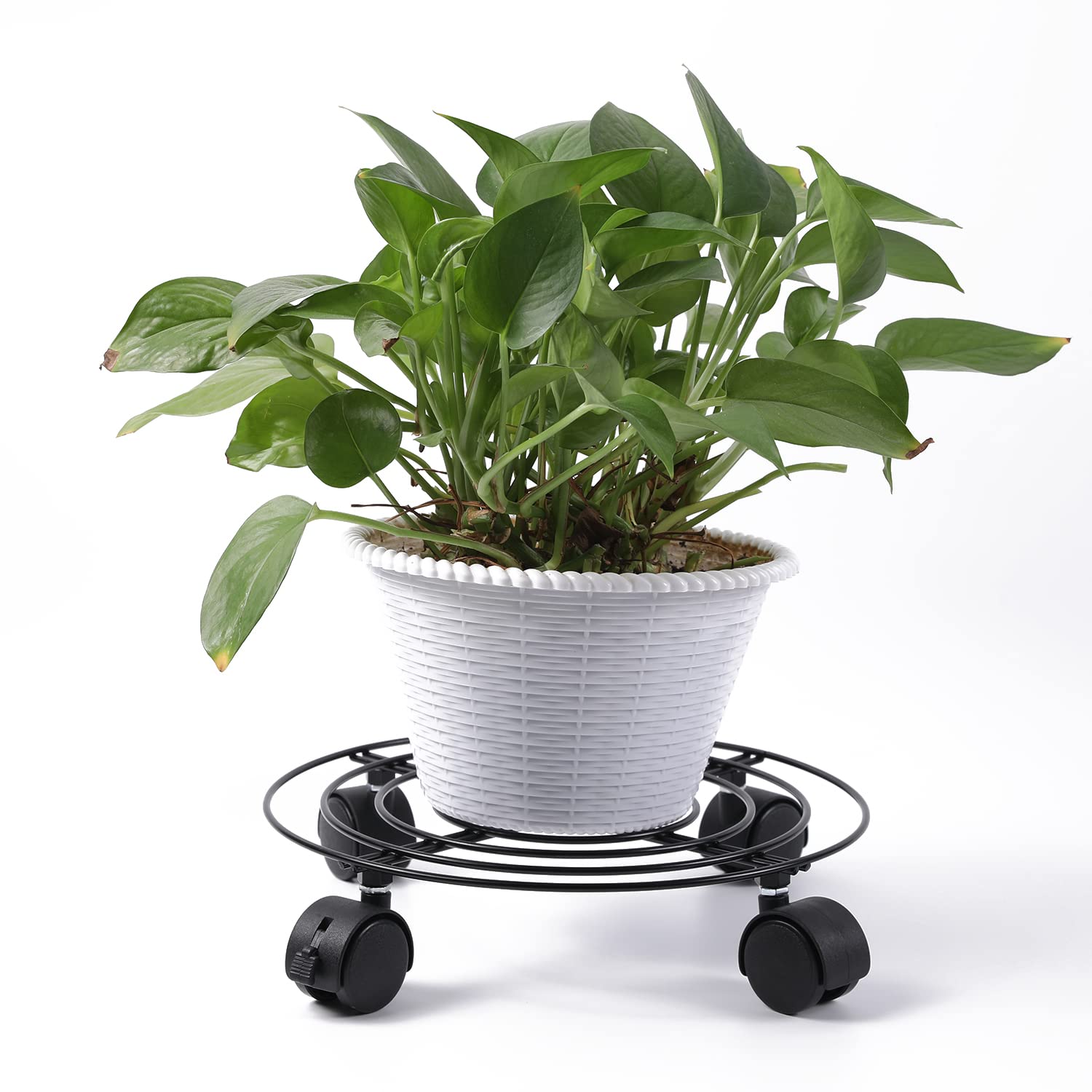 3Pcs Chariot de Plantes métal avec roulettes, 26.6 cm, Porte Plante