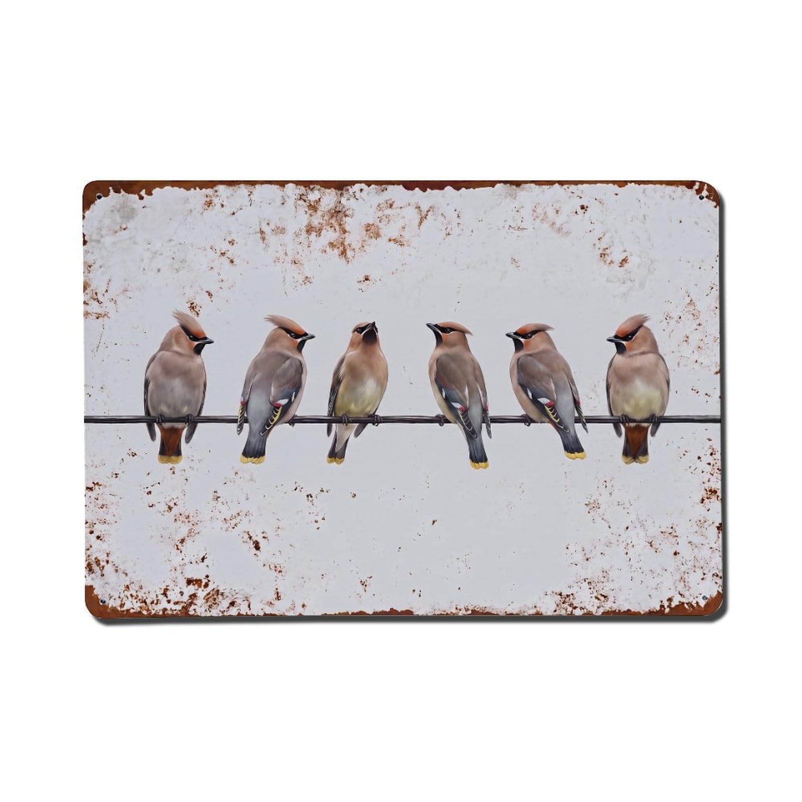 Vintage Retro Birds Waxwing Metal Tin Sign