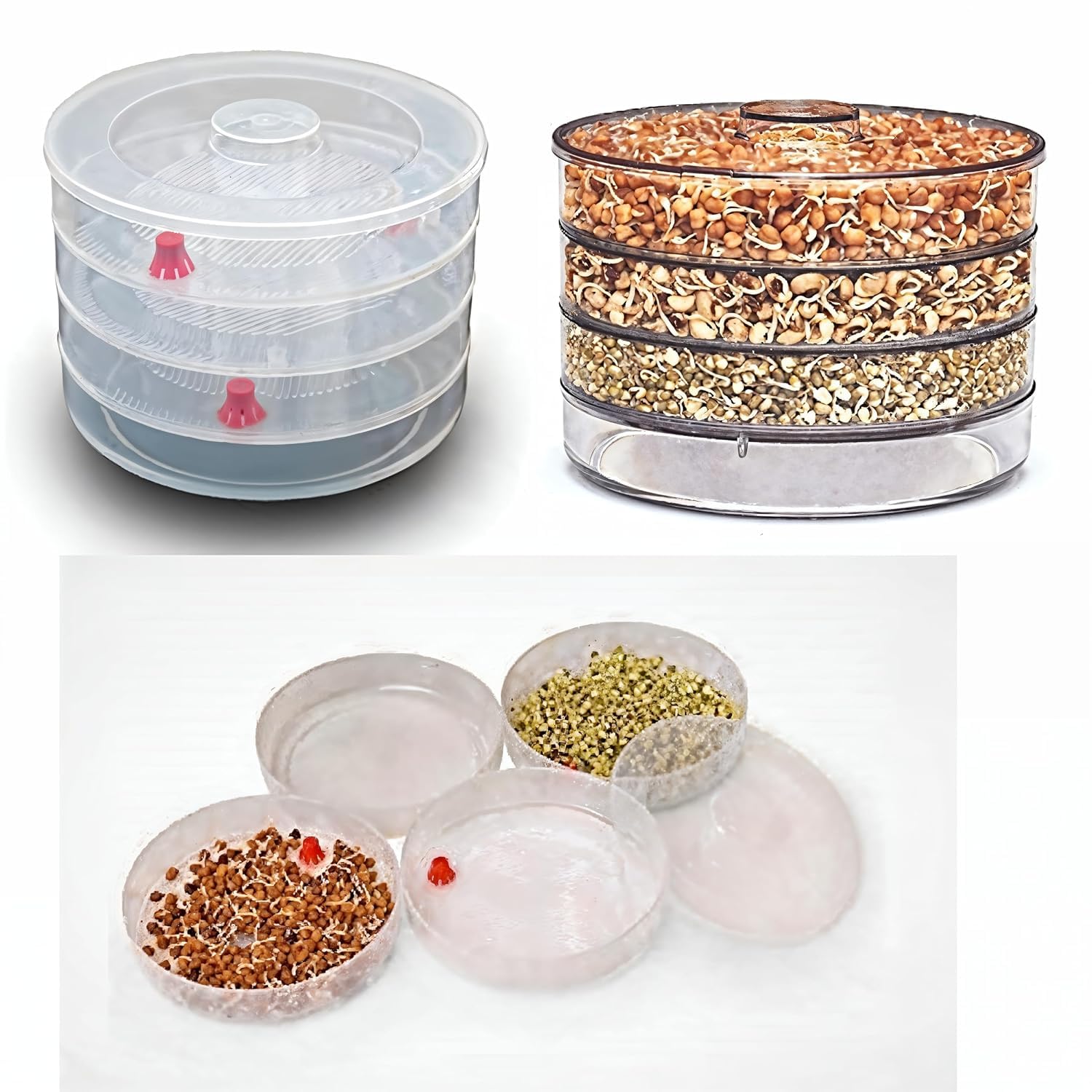 Plastic Sprout Maker - Grow Healthy Sprouts! -7 Plastic Sprout Maker - Grow Healthy Sprouts! -7