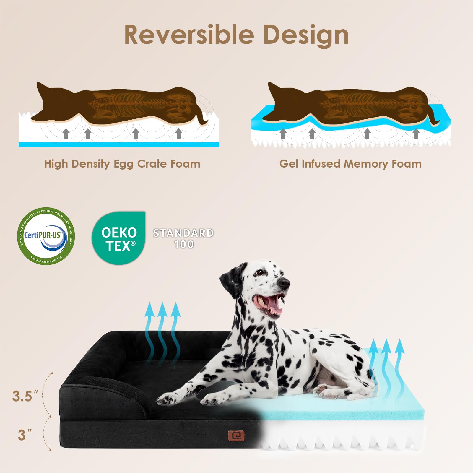 EHEYCIGA Cuccia Cane Interno Taglia Media, Cuscino Cane Impermeabile Sfoderabile e Lavabile, Letto per Cani con tre Lati Rialzati Ortopedico, Cuccia Divano per Cani, Nero, 76x51x16cm
