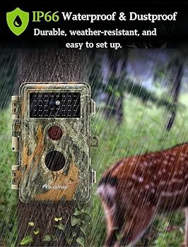 ストーム　ULTRA BITE 15p3oz(12ゲームusedAAA) ストーム ULTRA BITE 15p3oz(12ゲームusedAAA) ストーム ULTRA