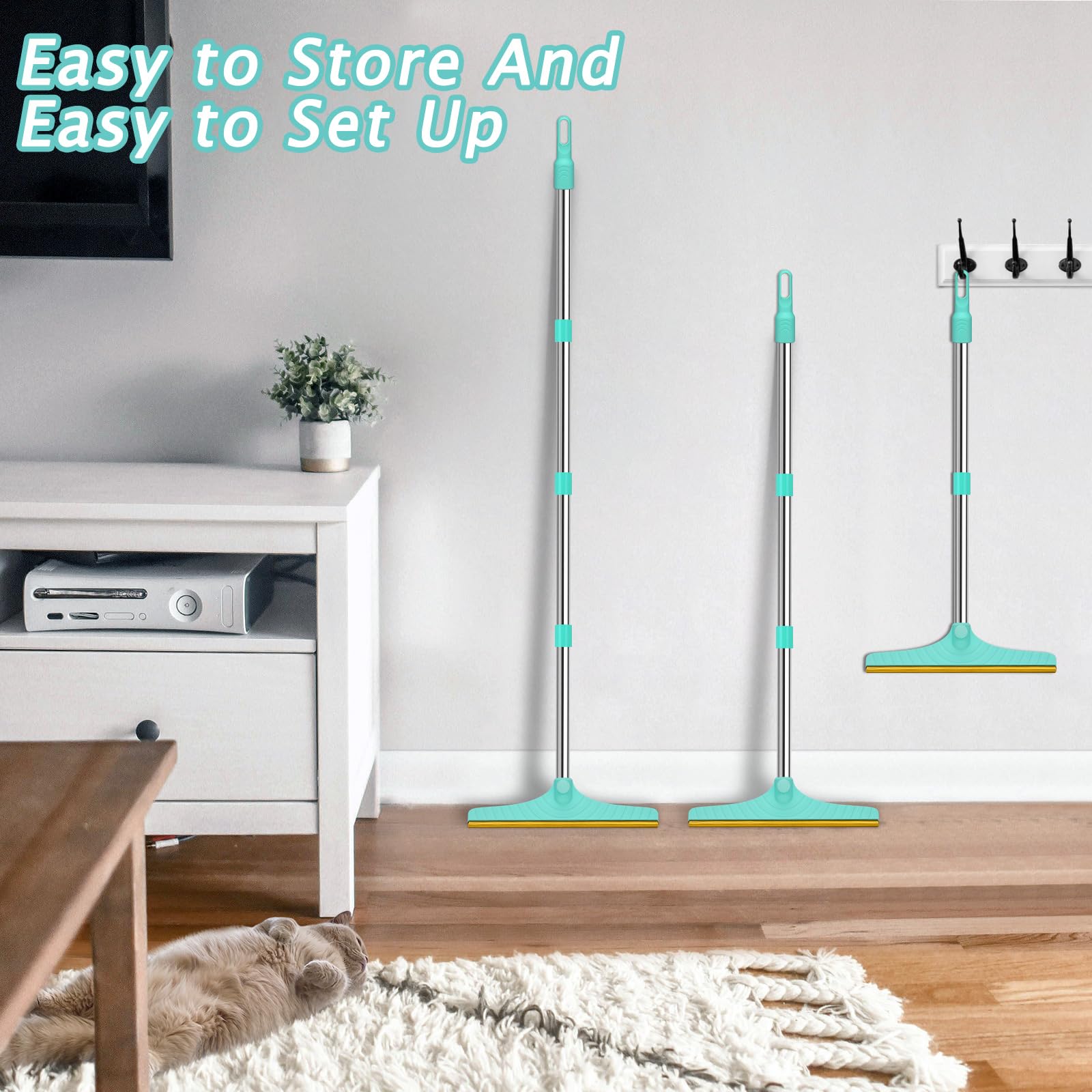 https://m.media-amazon.com/images/I/716hz2eQqnL.jpg