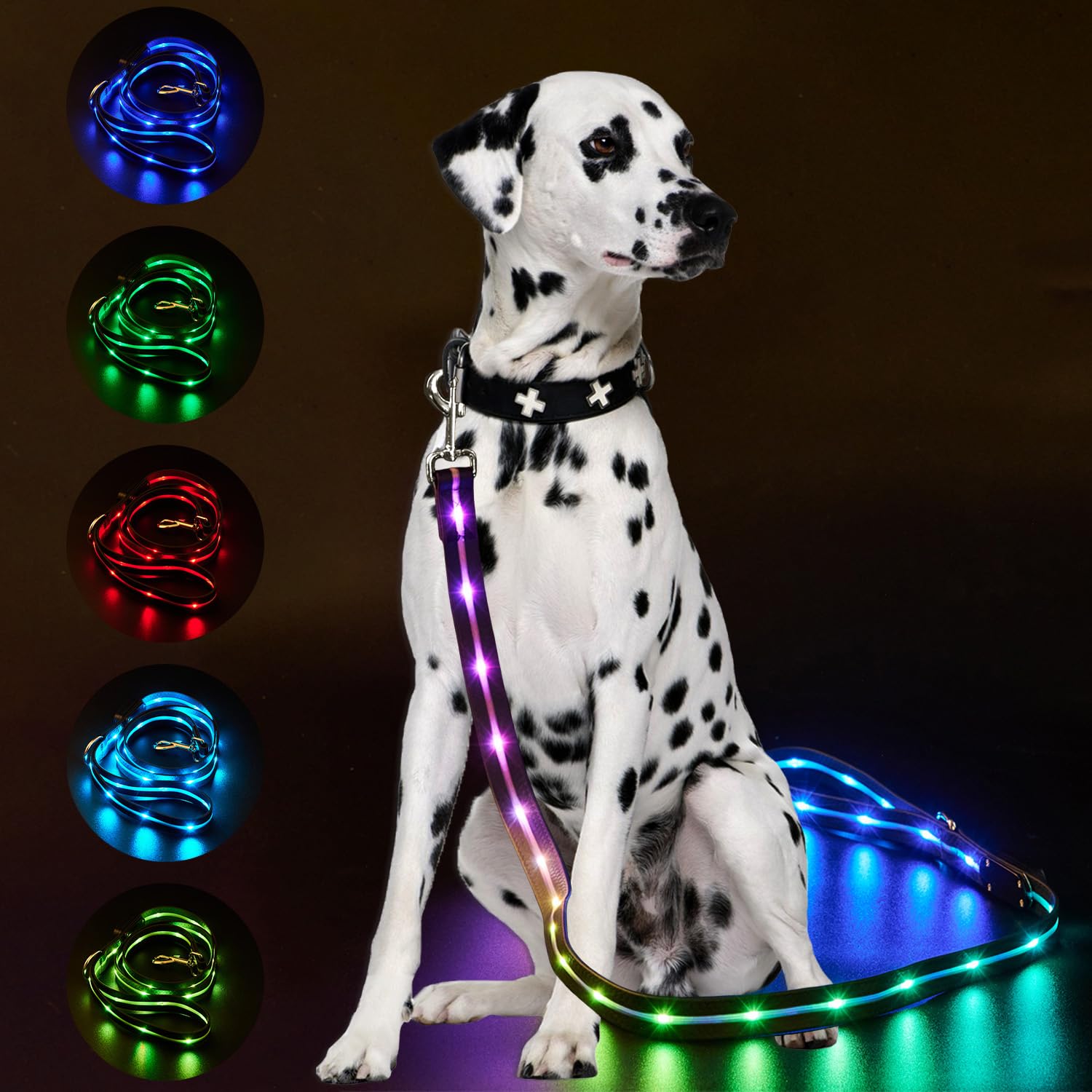 Laisse LED pour chien lumineuse pour des promenades sereines la nuit