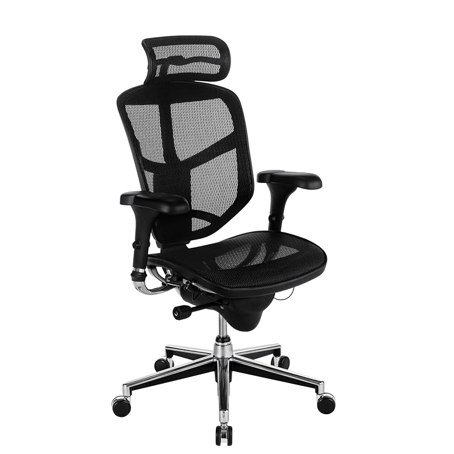 Amazon.com: WorkPro® Quantum 9000 Series Ergonomic Mesh High