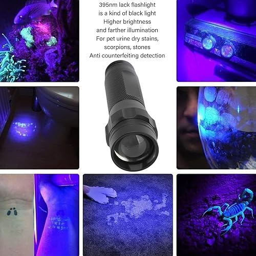 Miniatura 4 de Linterna de luz negra, LED de 395 nm, linterna de luz negra ultravioleta, detector de orina de mascotas para perros y gatos, manchas secas y
